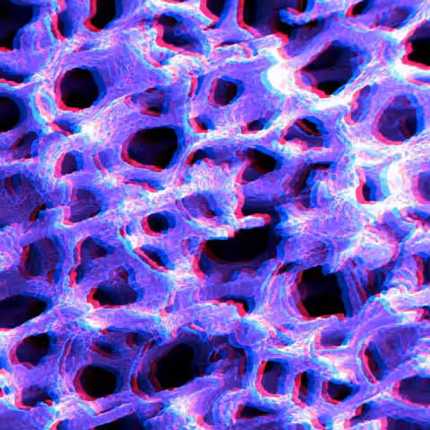 Mycelium Network