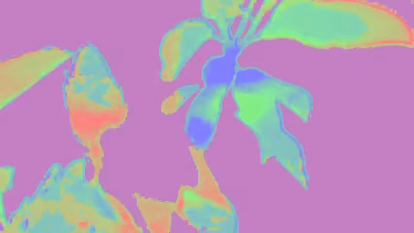 Vitamin D | Song A Day #516