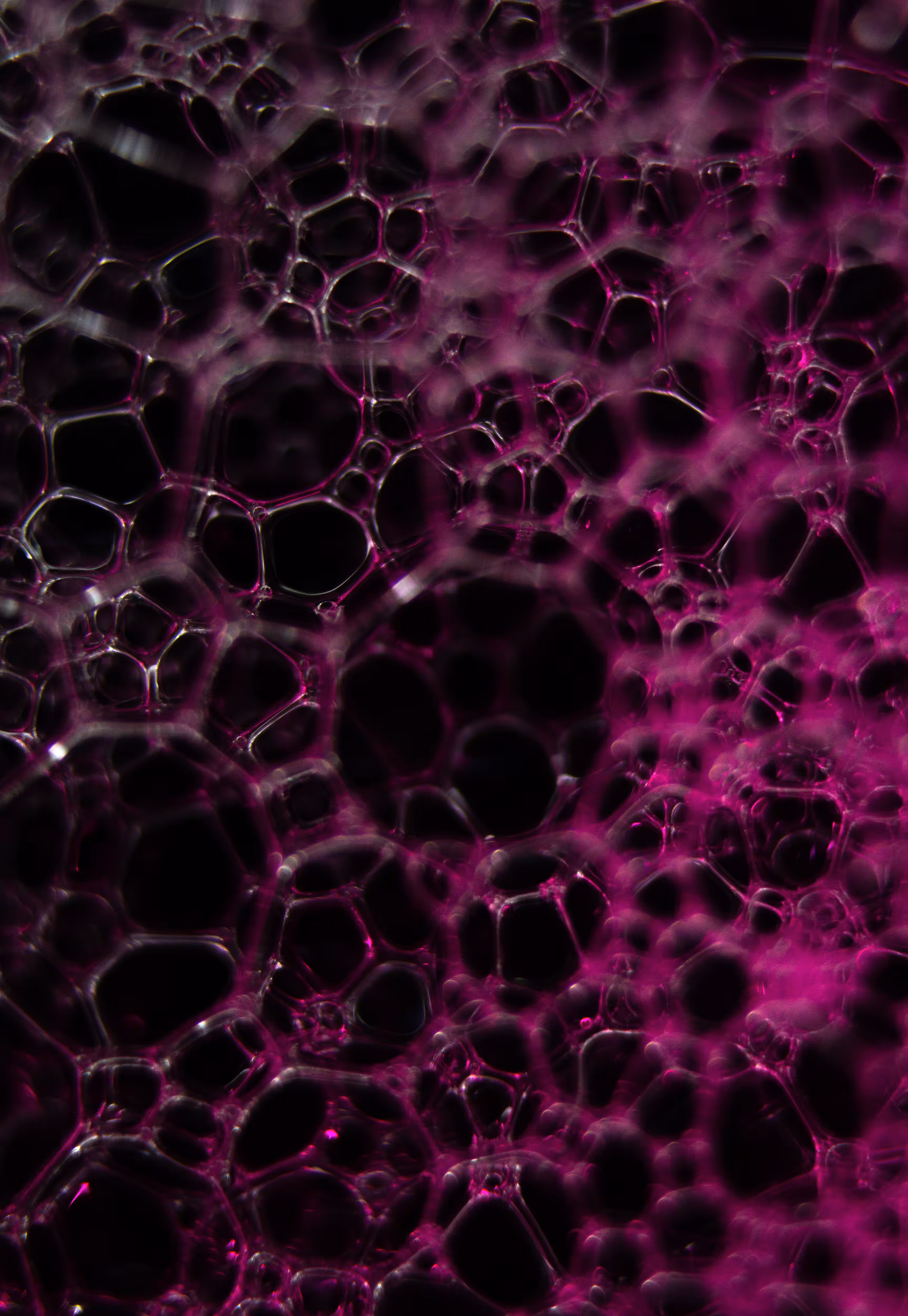 #88 Bubbles