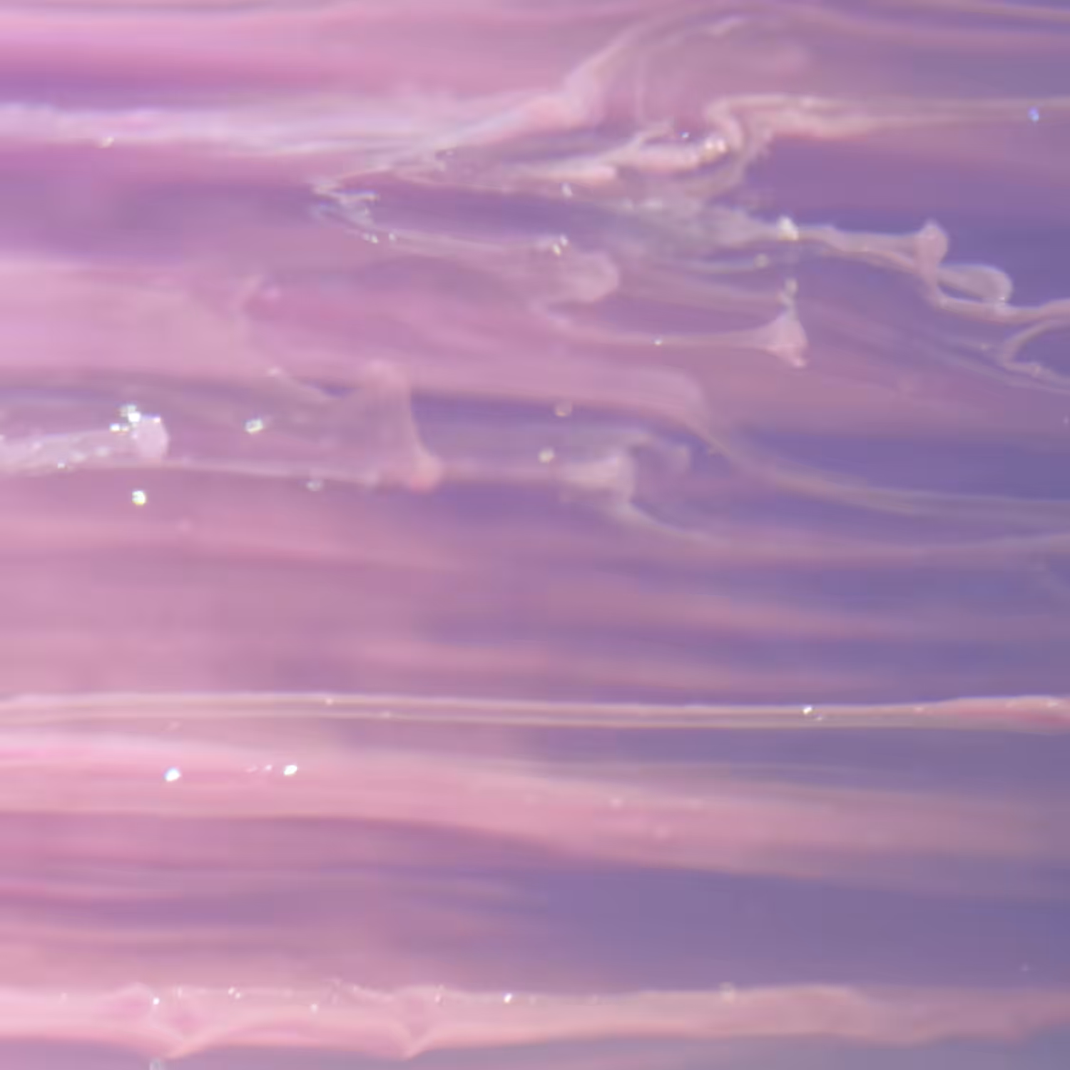 019