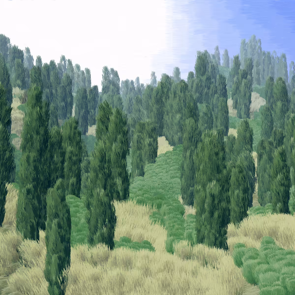 Provence #352