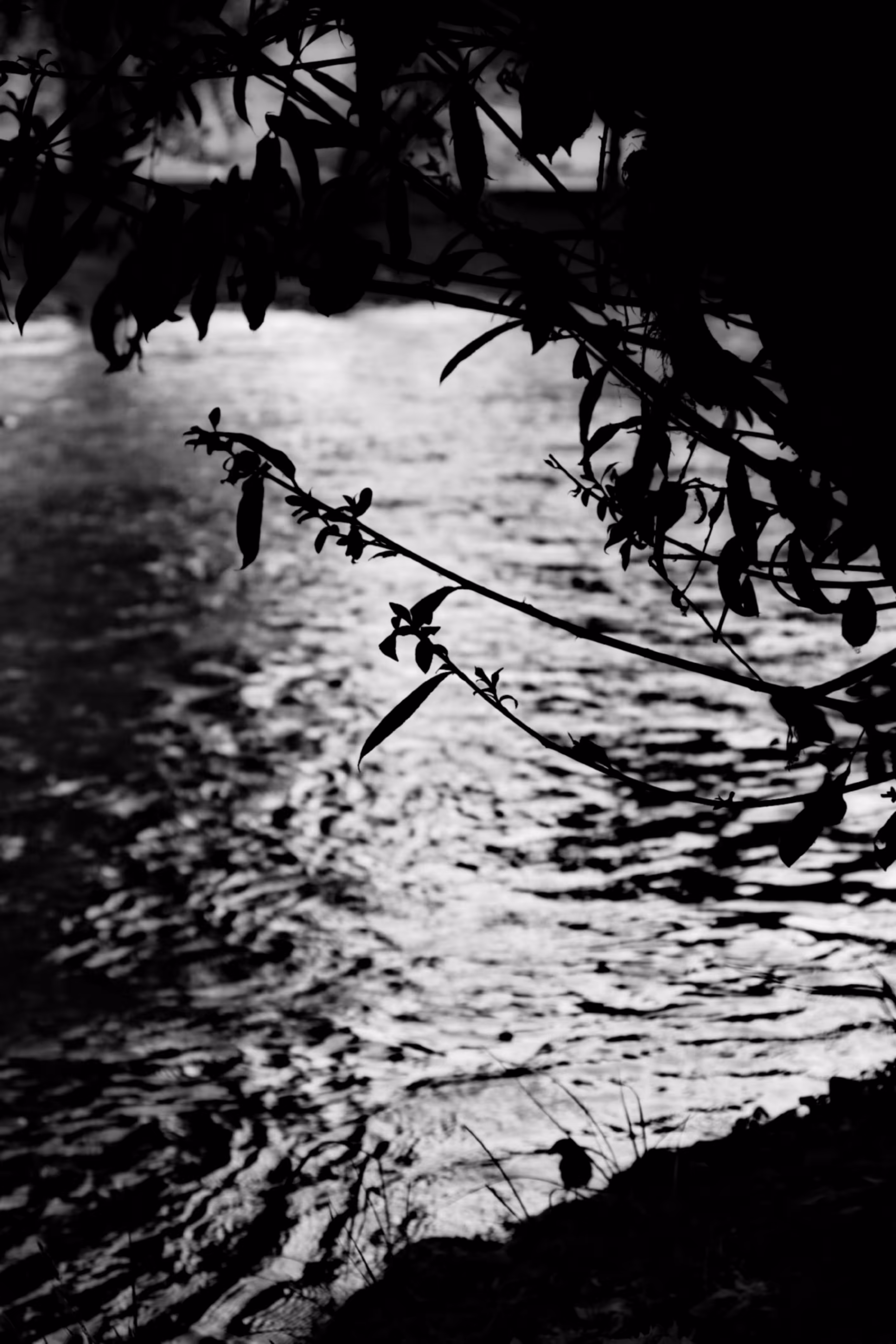 Beside the Flow