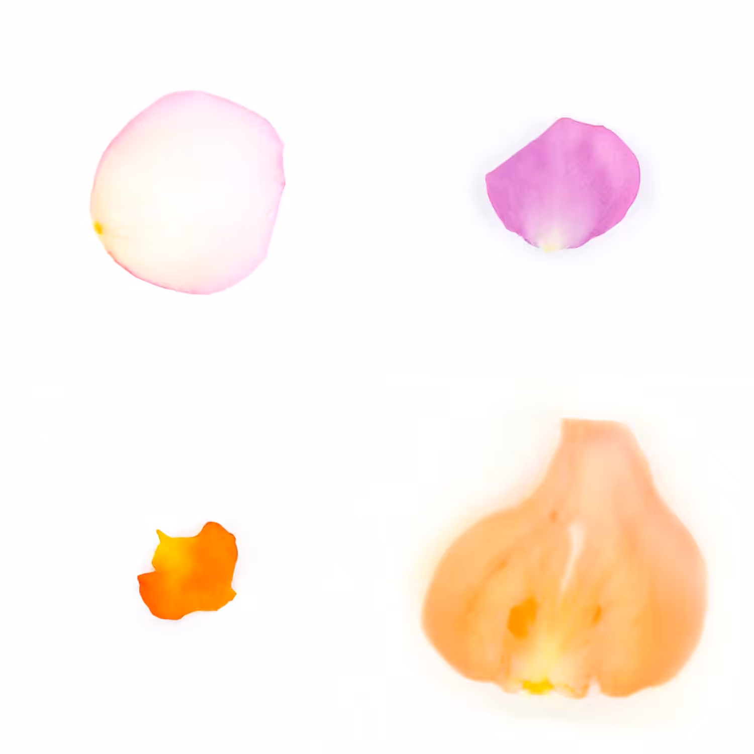 Infinite Petals 2x2#3179