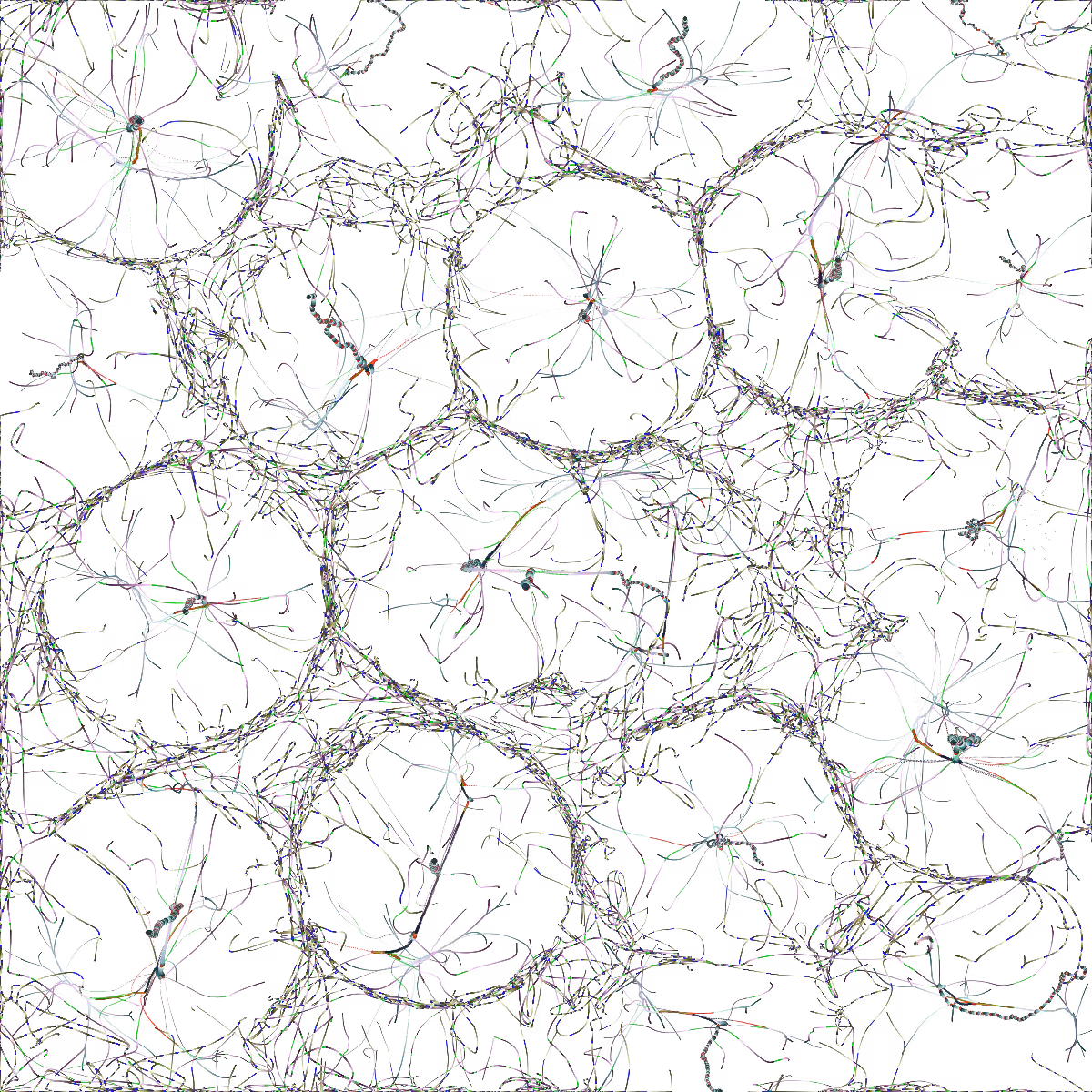 neuronio-11