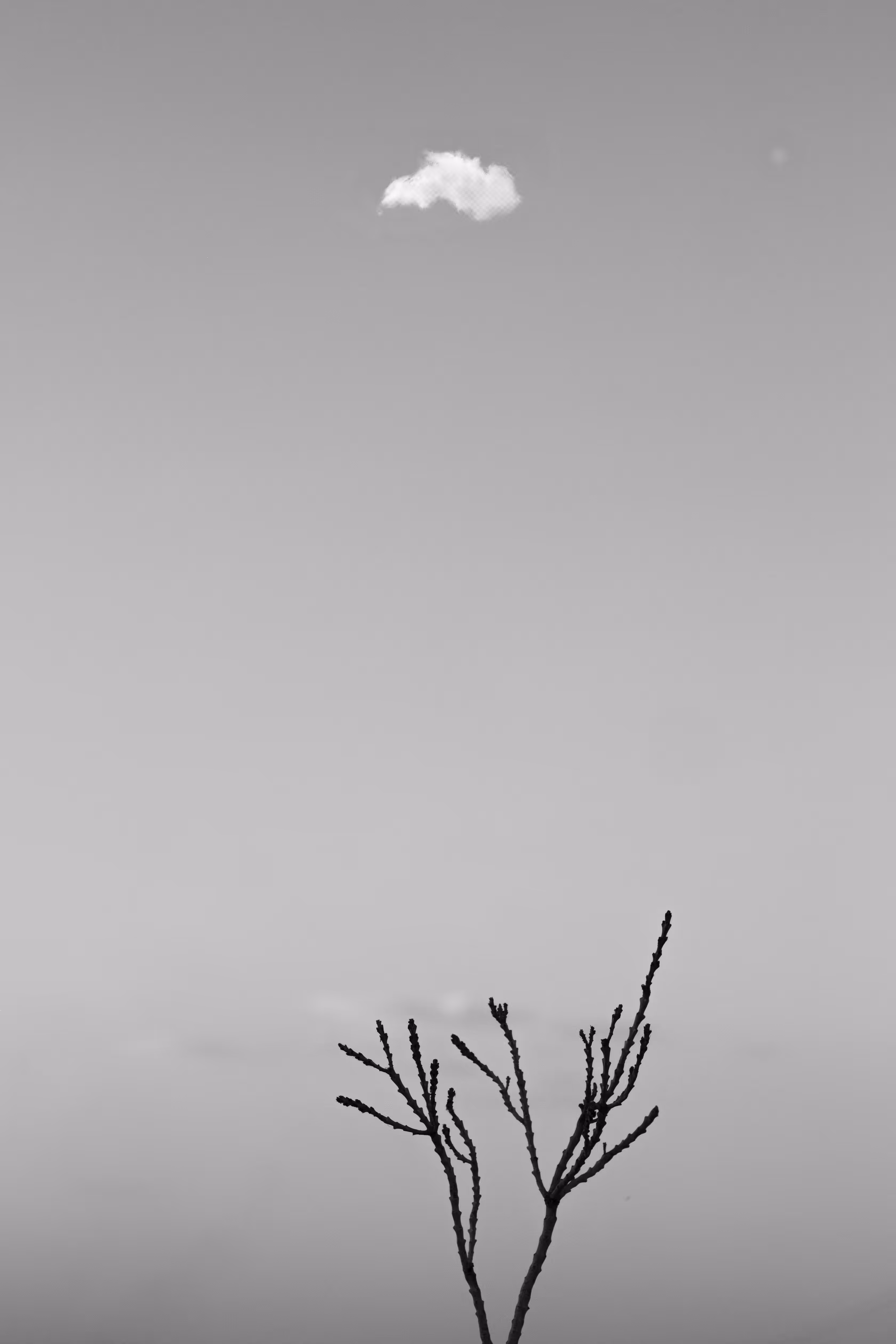 small  cloud