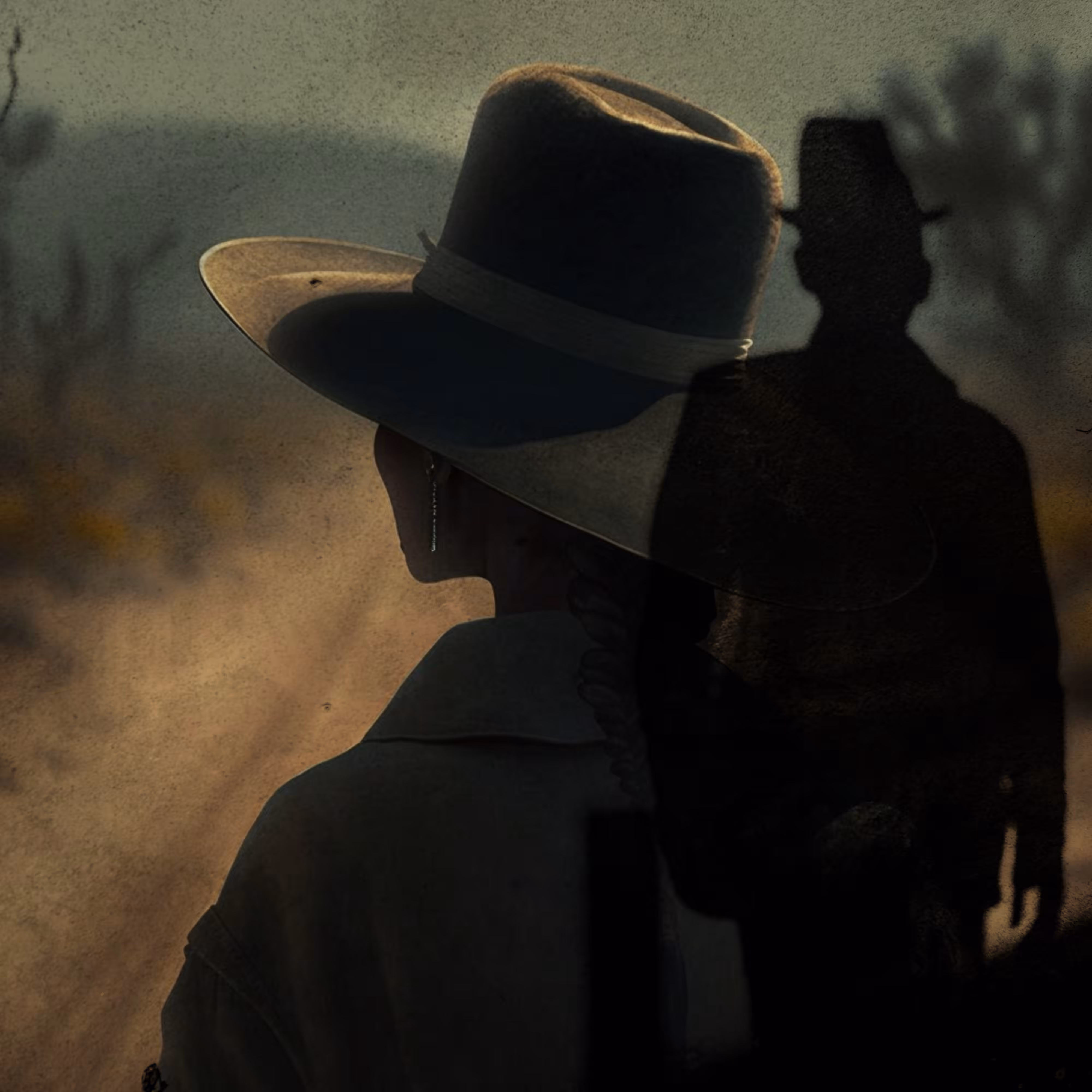 Cinematic Shadows