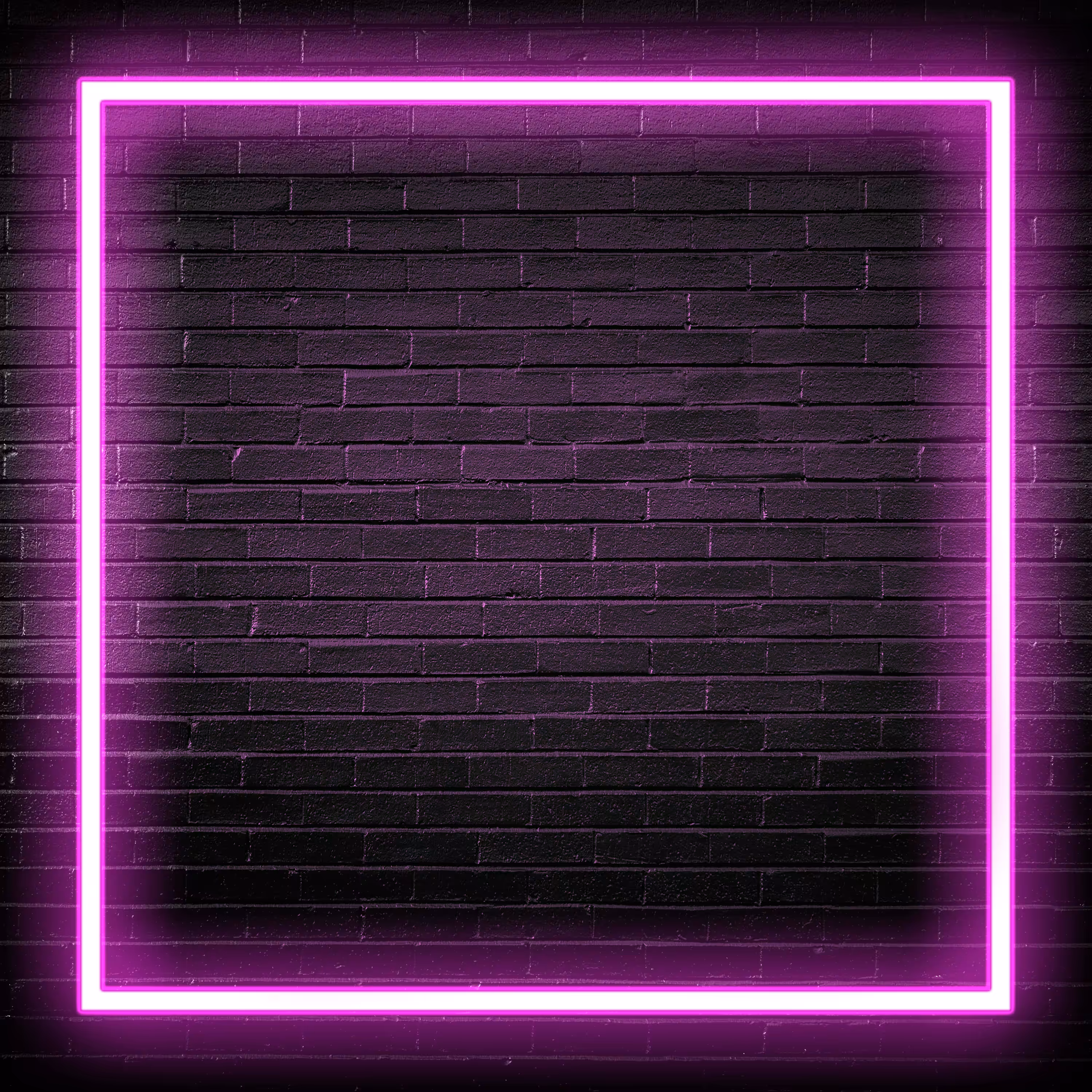 Inner Circle PFPs - Square Neon Purple