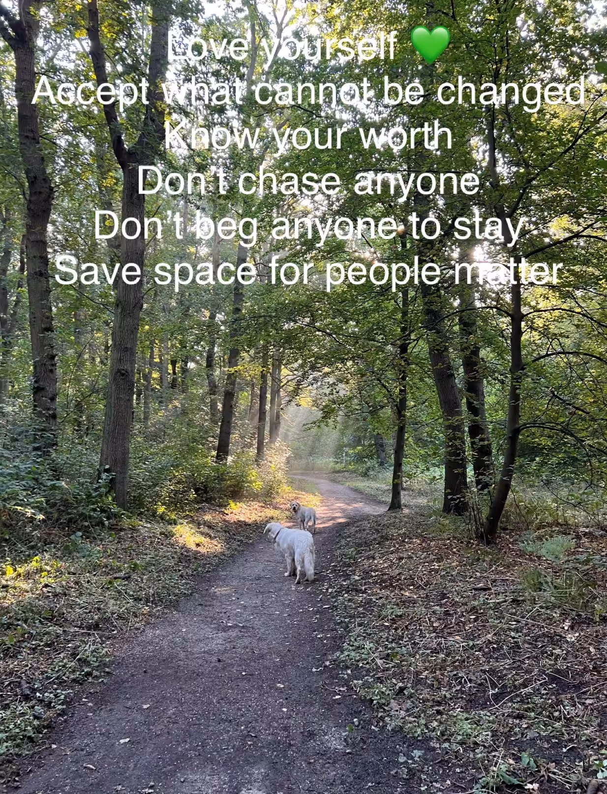 Life Lesson 47 