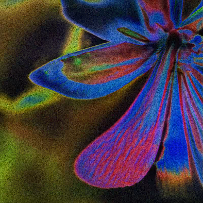 CLDCSMC #155