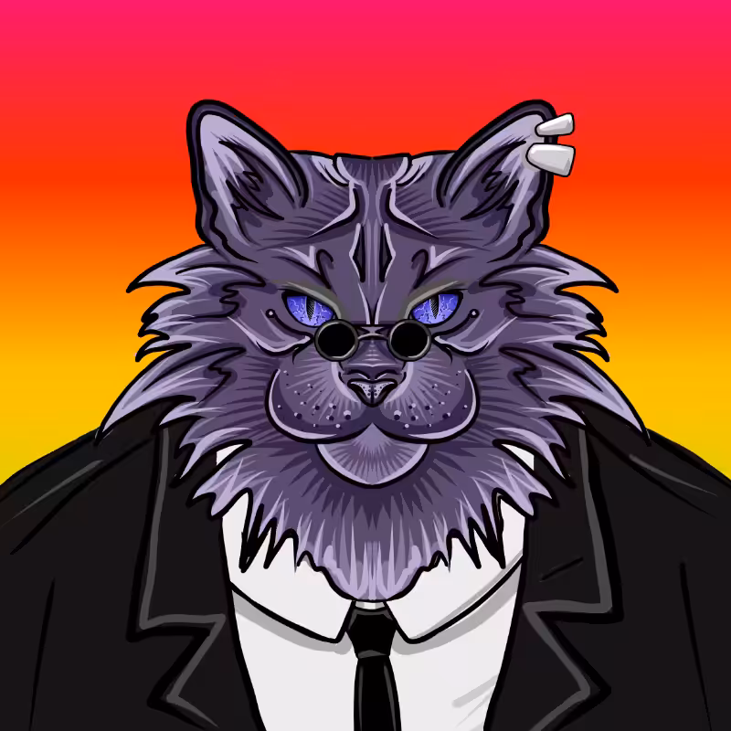 fxCat #23