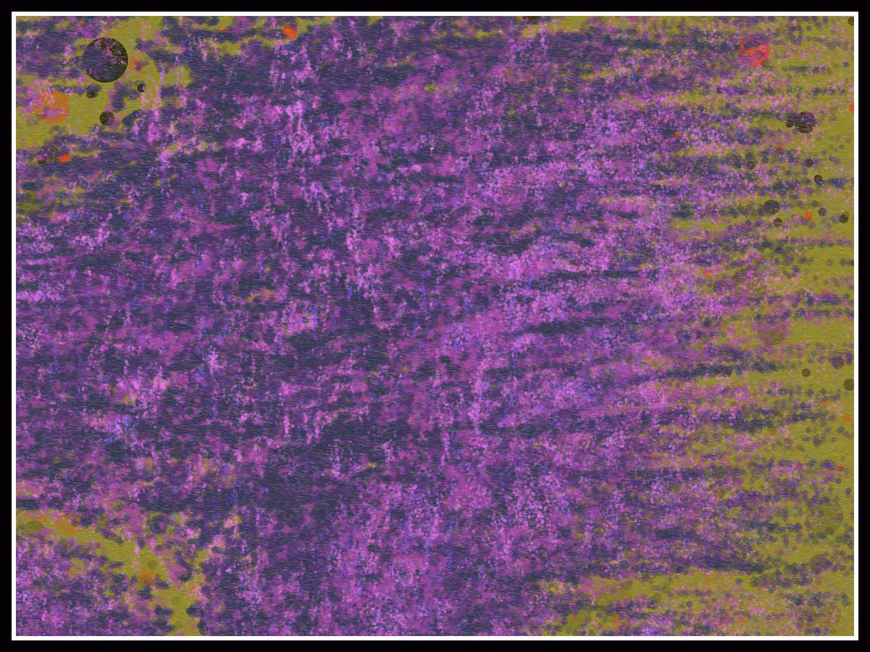 Raindrops on a Windowpane #12