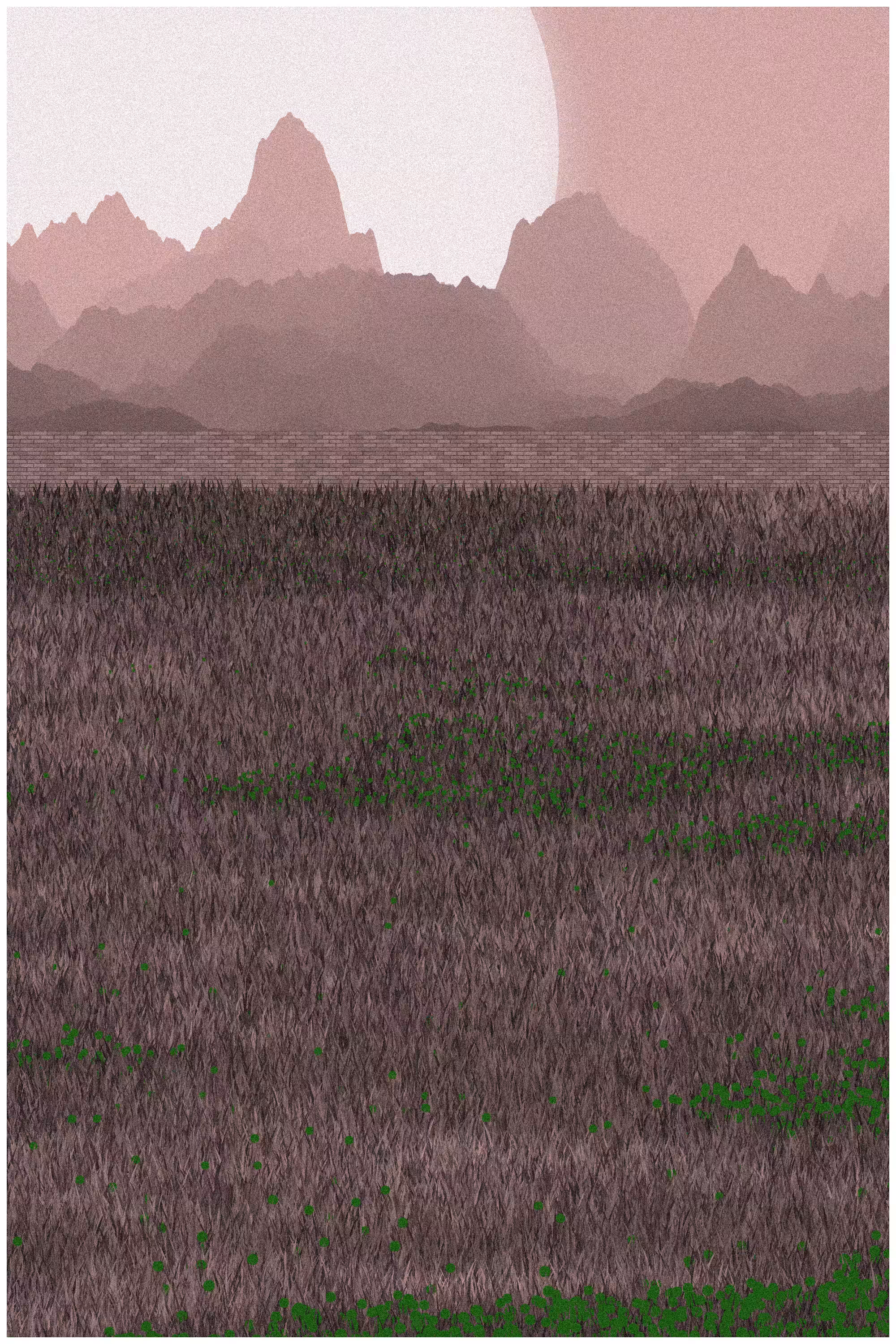 Backyard #9