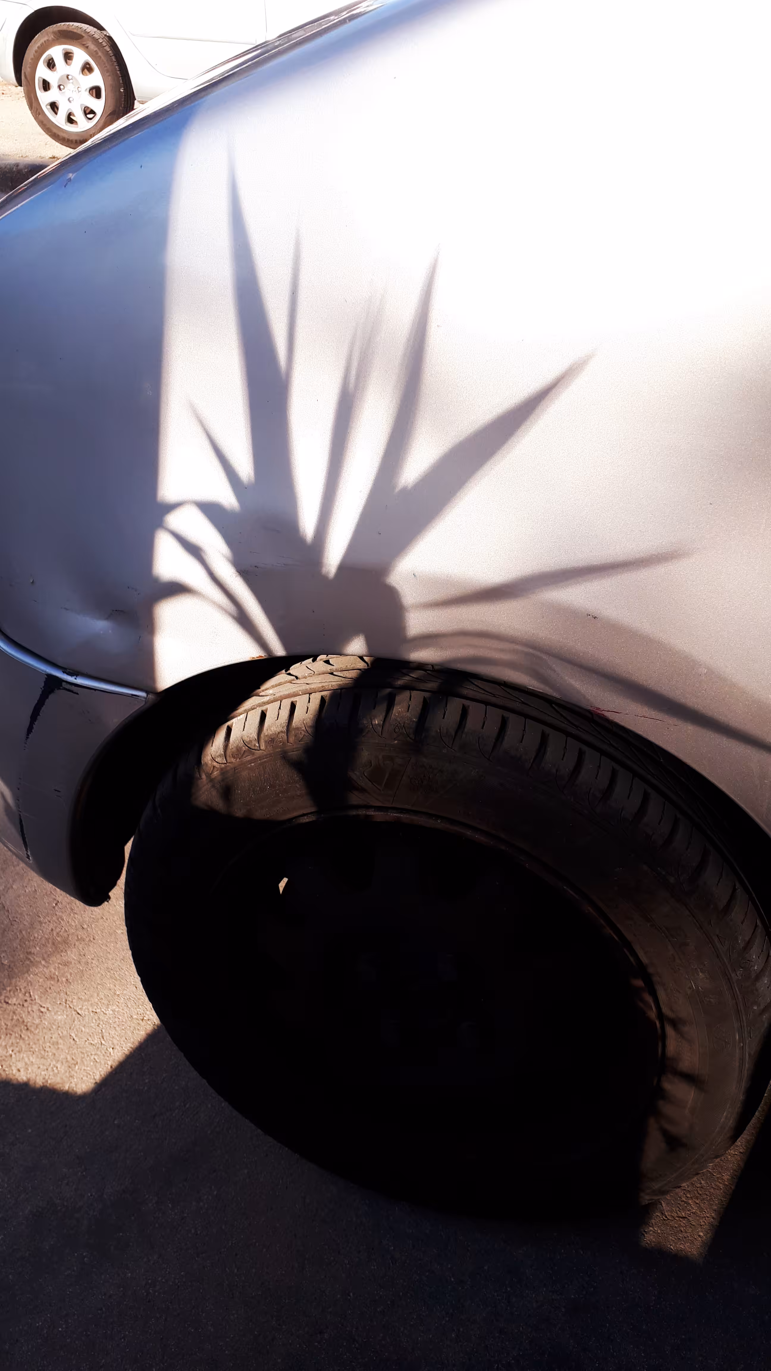 shadow 3