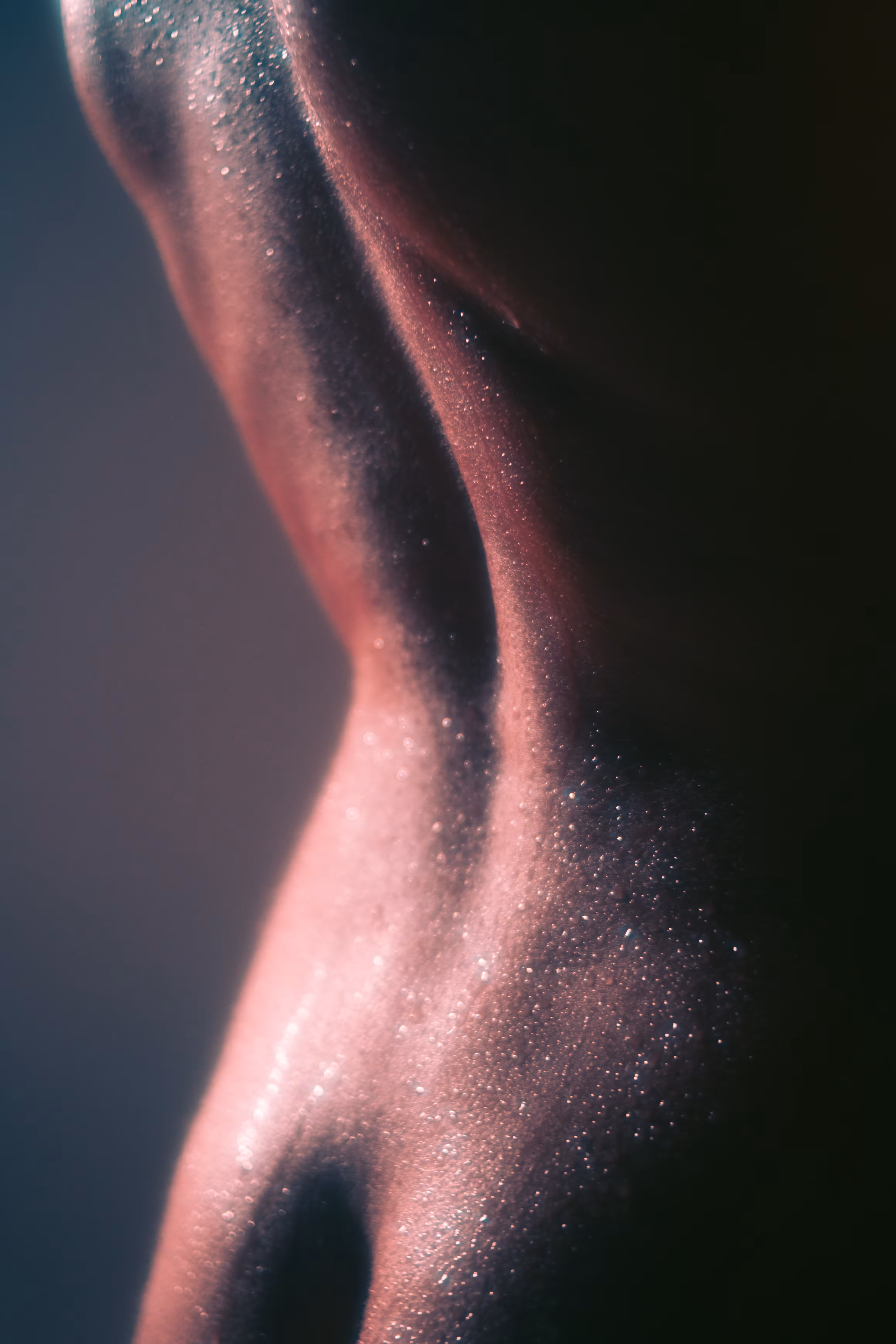BODY 05
