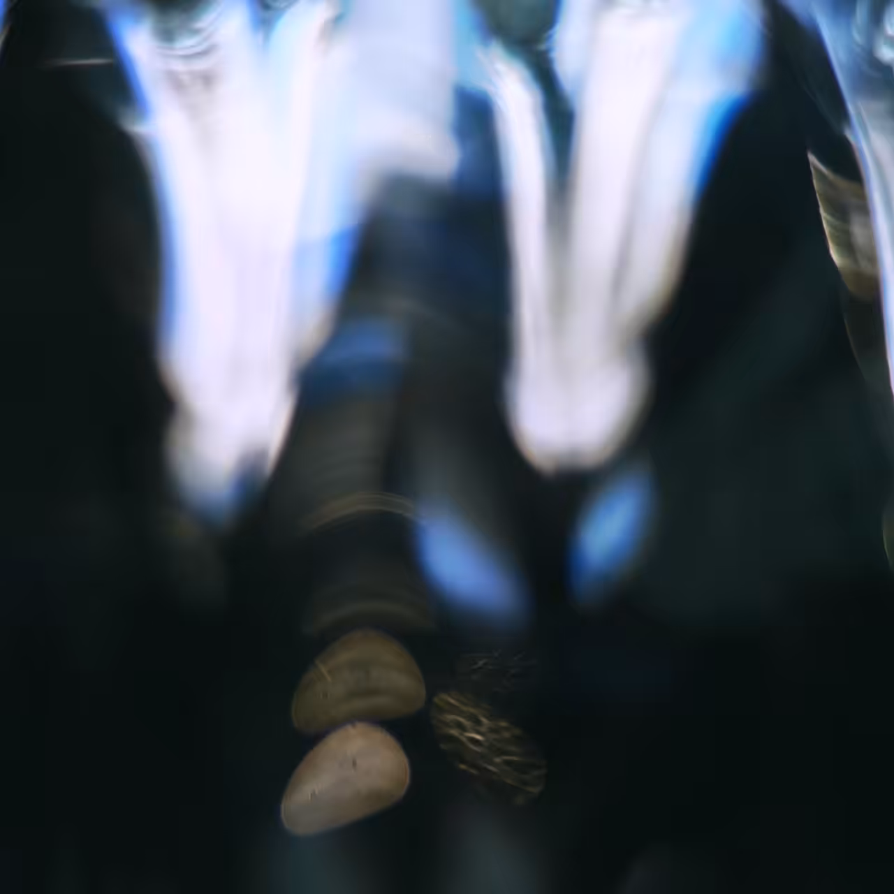 Re-Digitalization of Waves #27