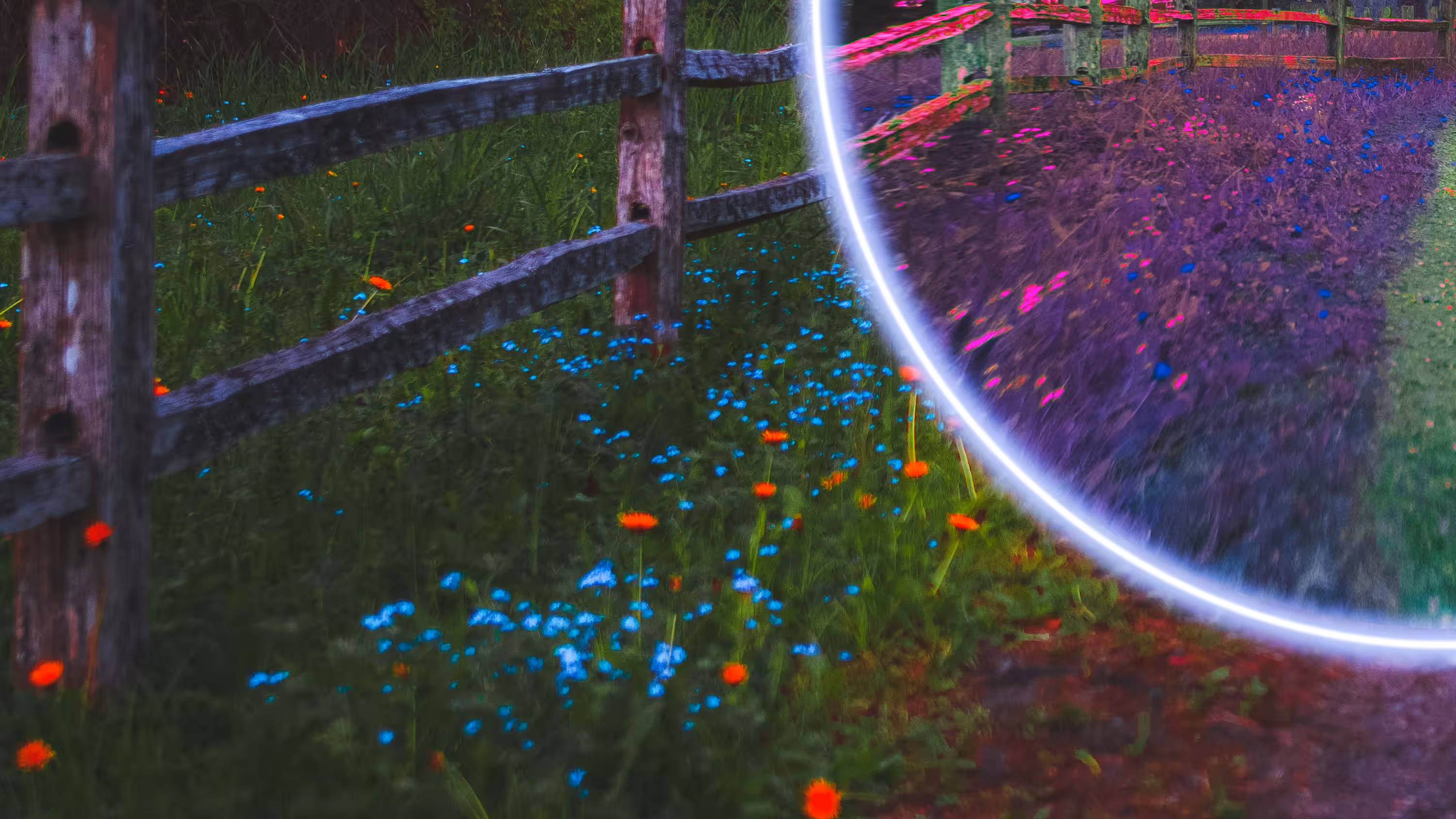 step into my world 4/4