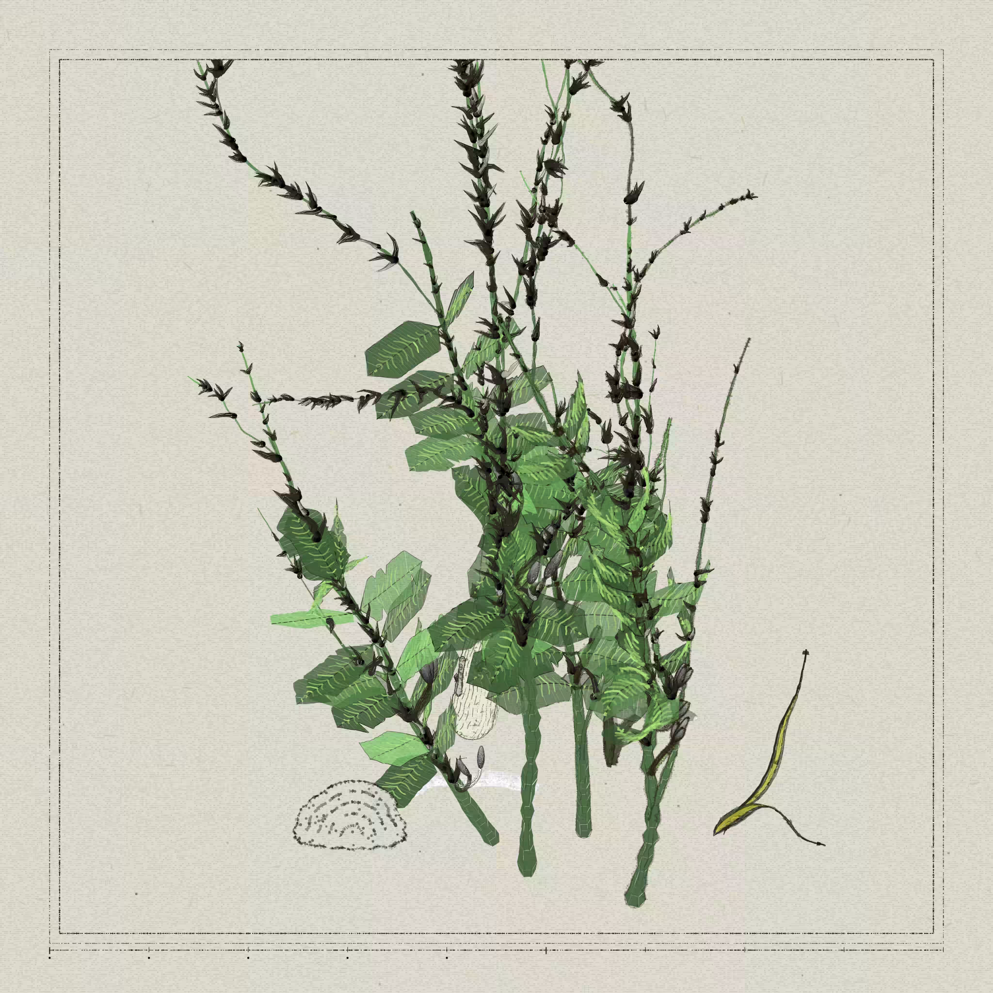 Polypaths | 植徑集 #274
