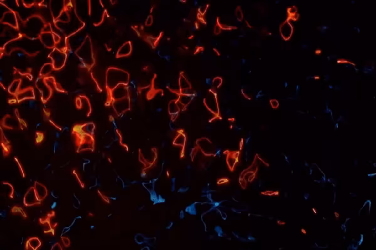 Psychedelic fire and water