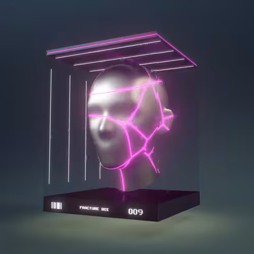 FRACTURE BOI - 009