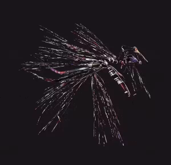 LOST PARADISE  #1 (glb)