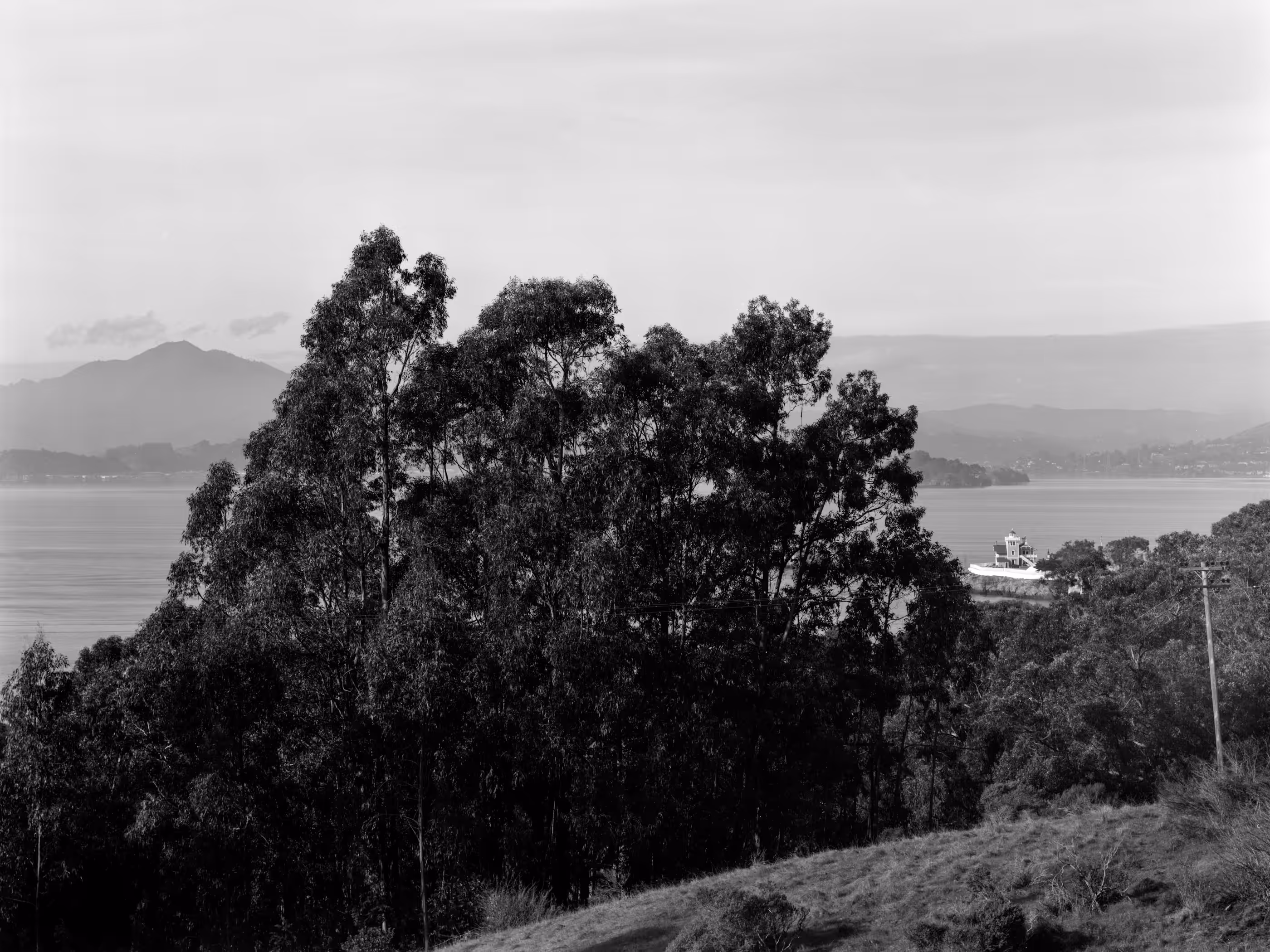 Mt. Tamalpais from Point San Pablo
