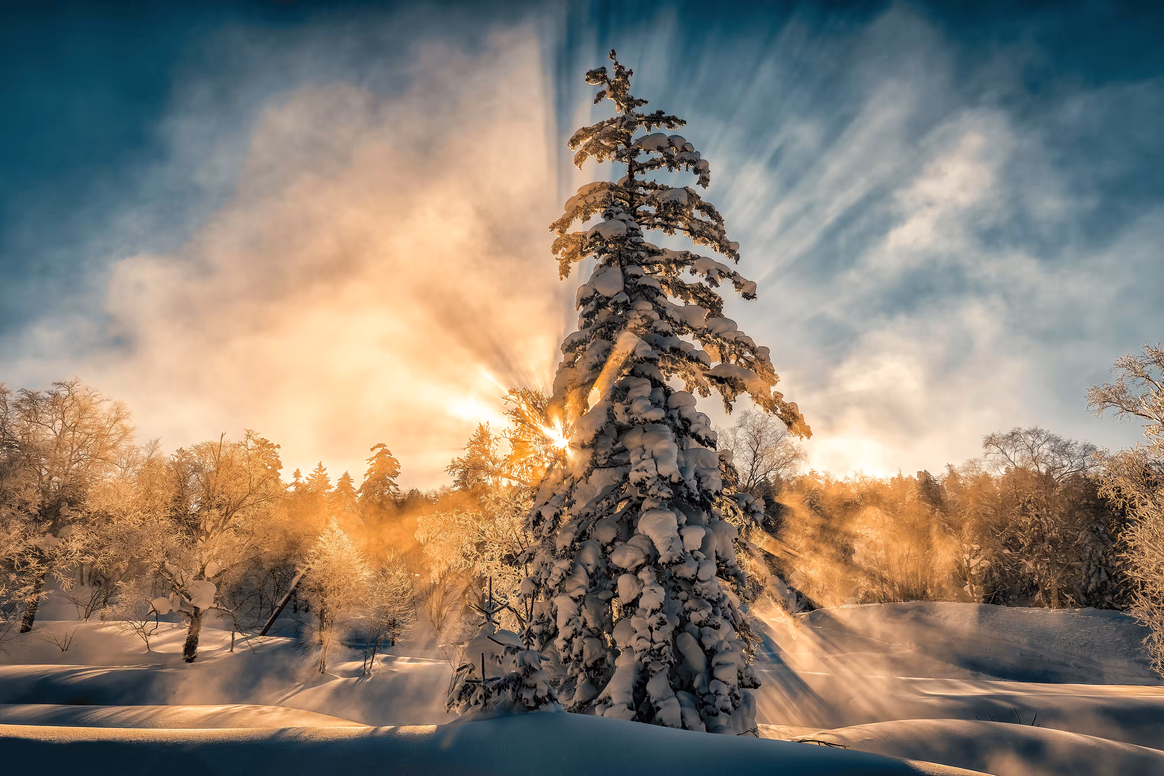 Frigid Rays