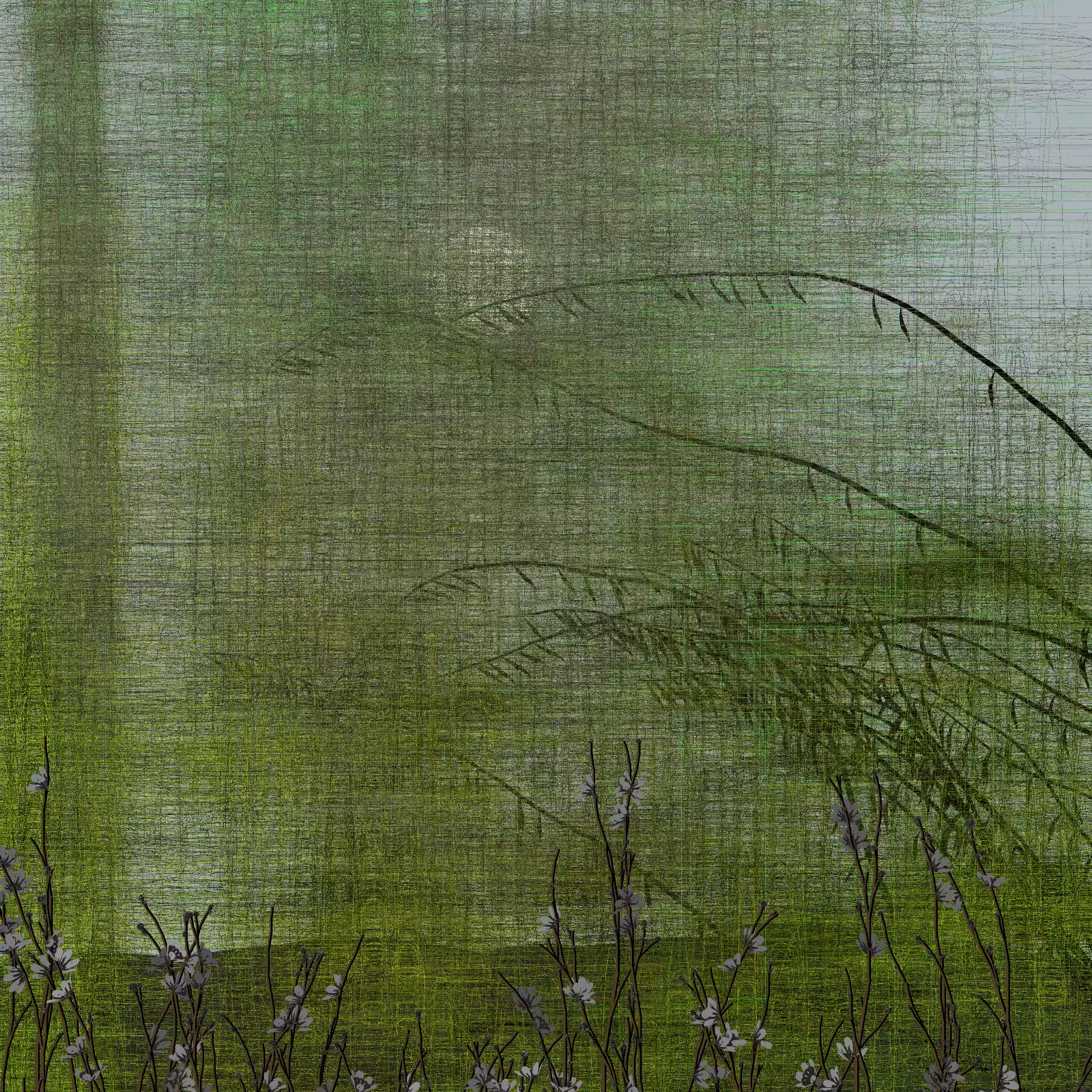 Echoes #61