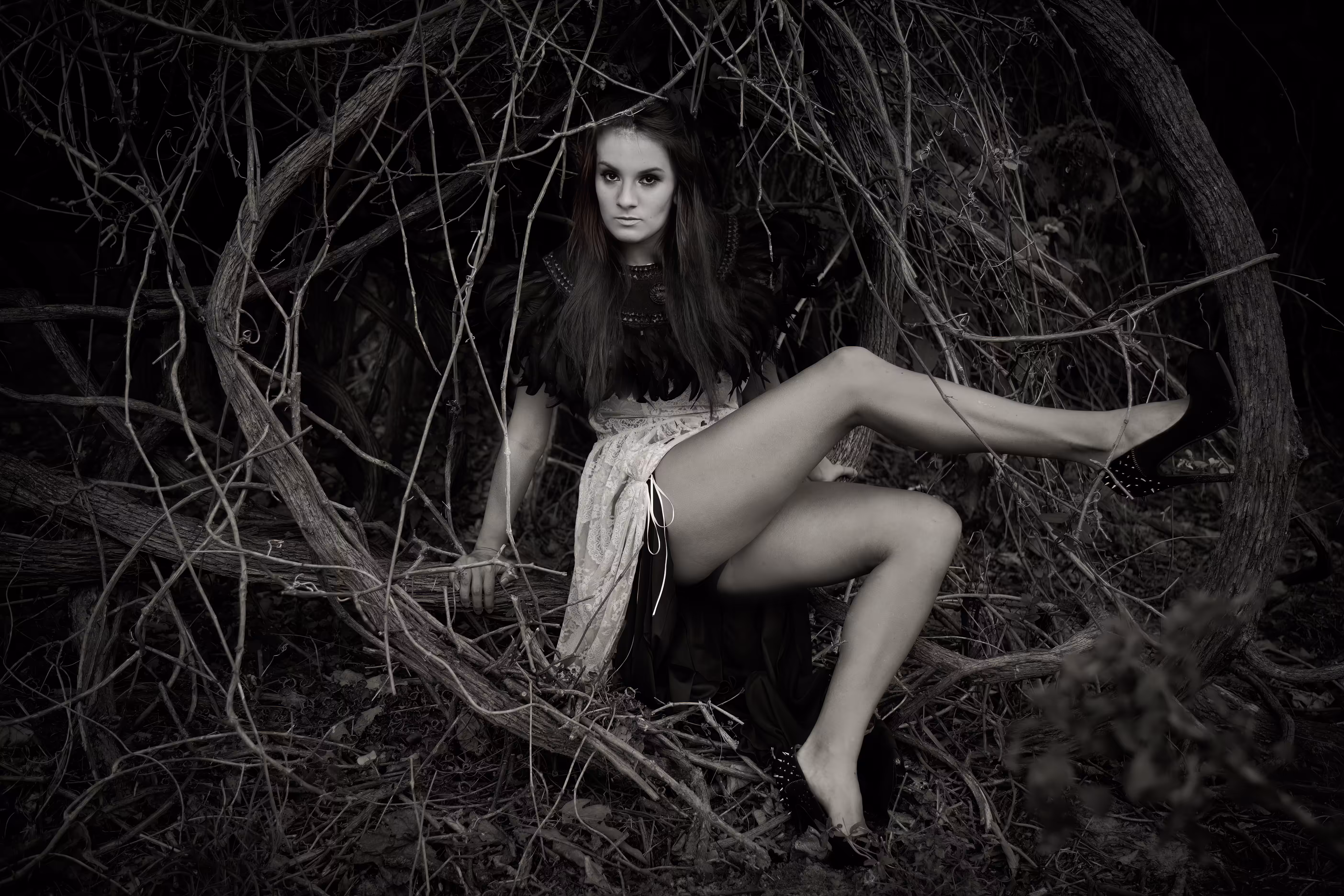 Ethereal Beauty: In the Bird's Nest