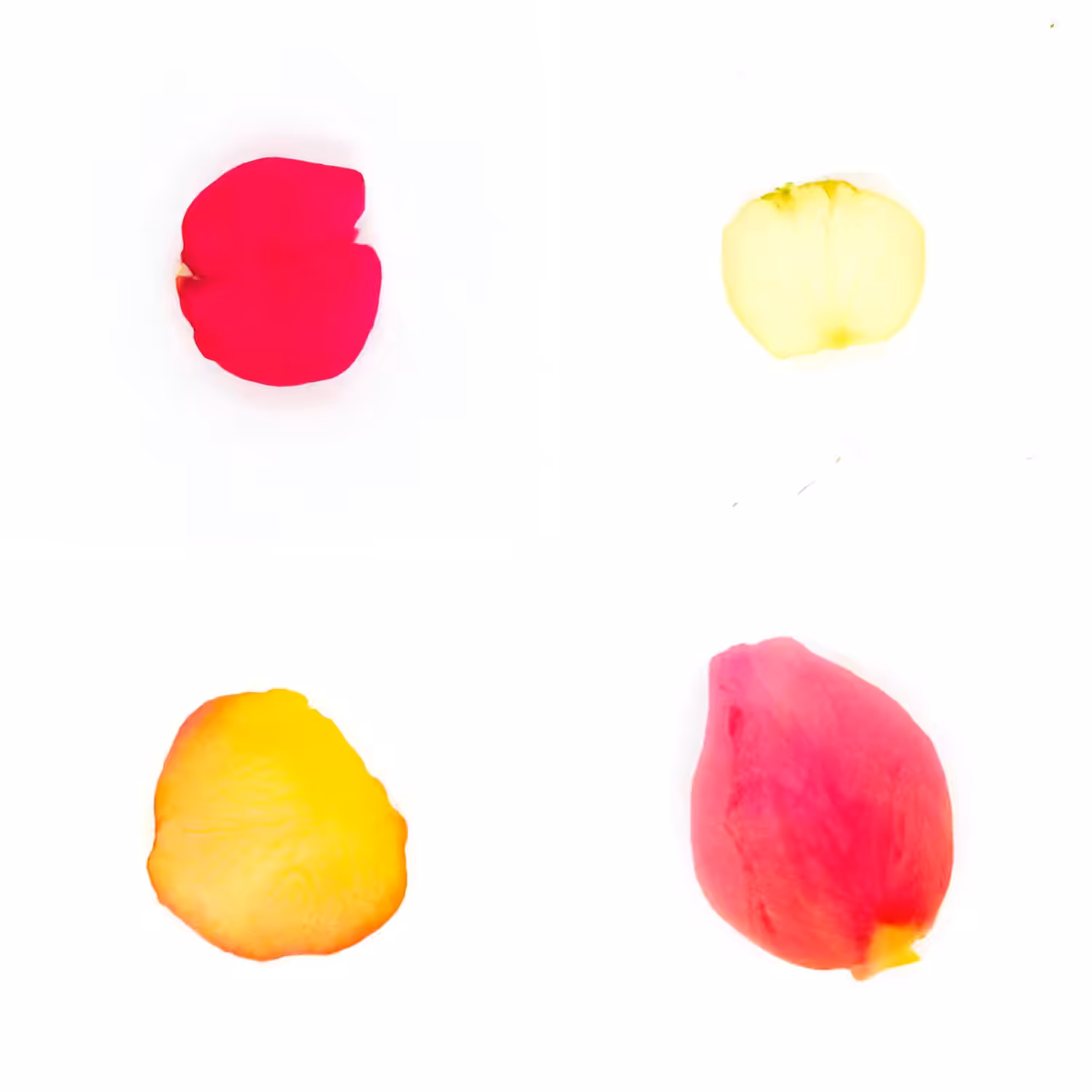 Infinite Petals 2x2#3866