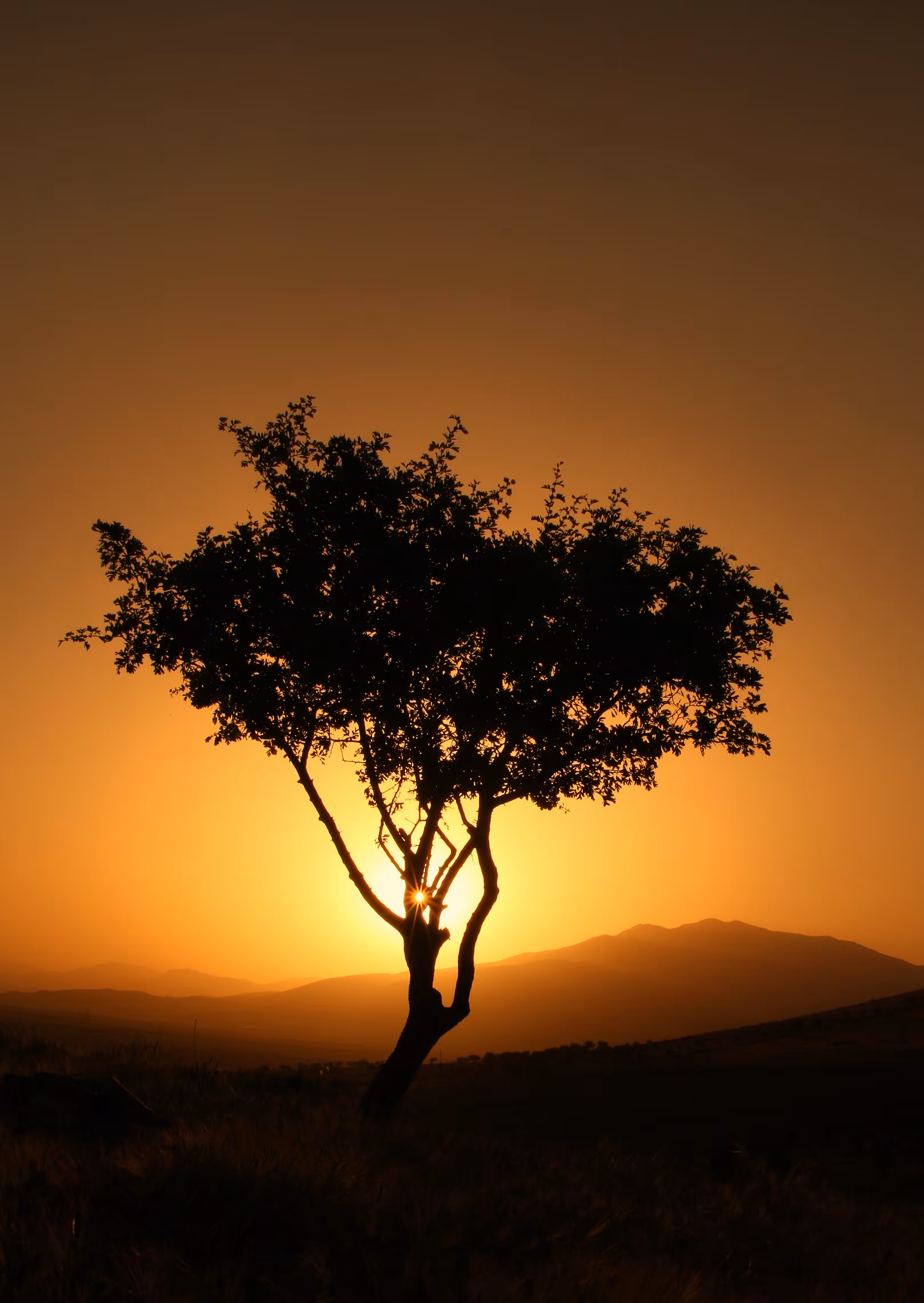 End of day