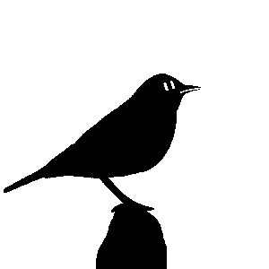 The Thrush and the King