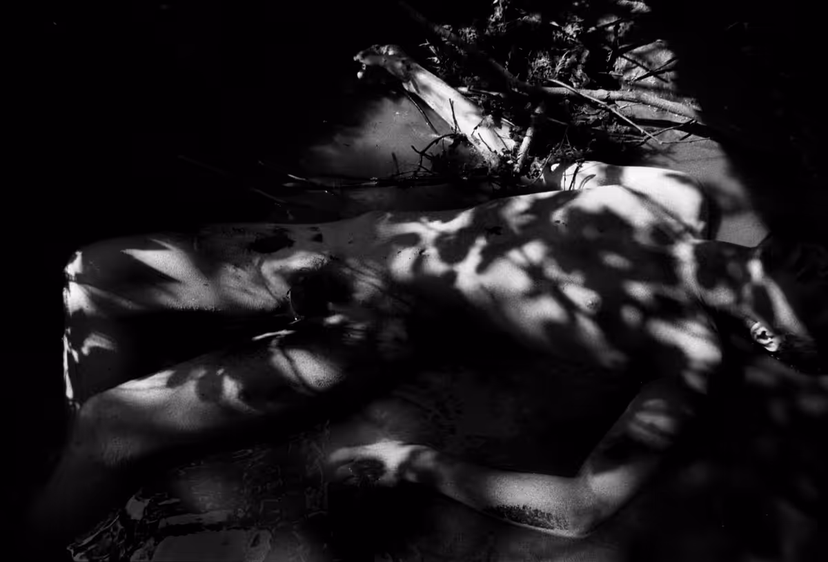 shadow playing