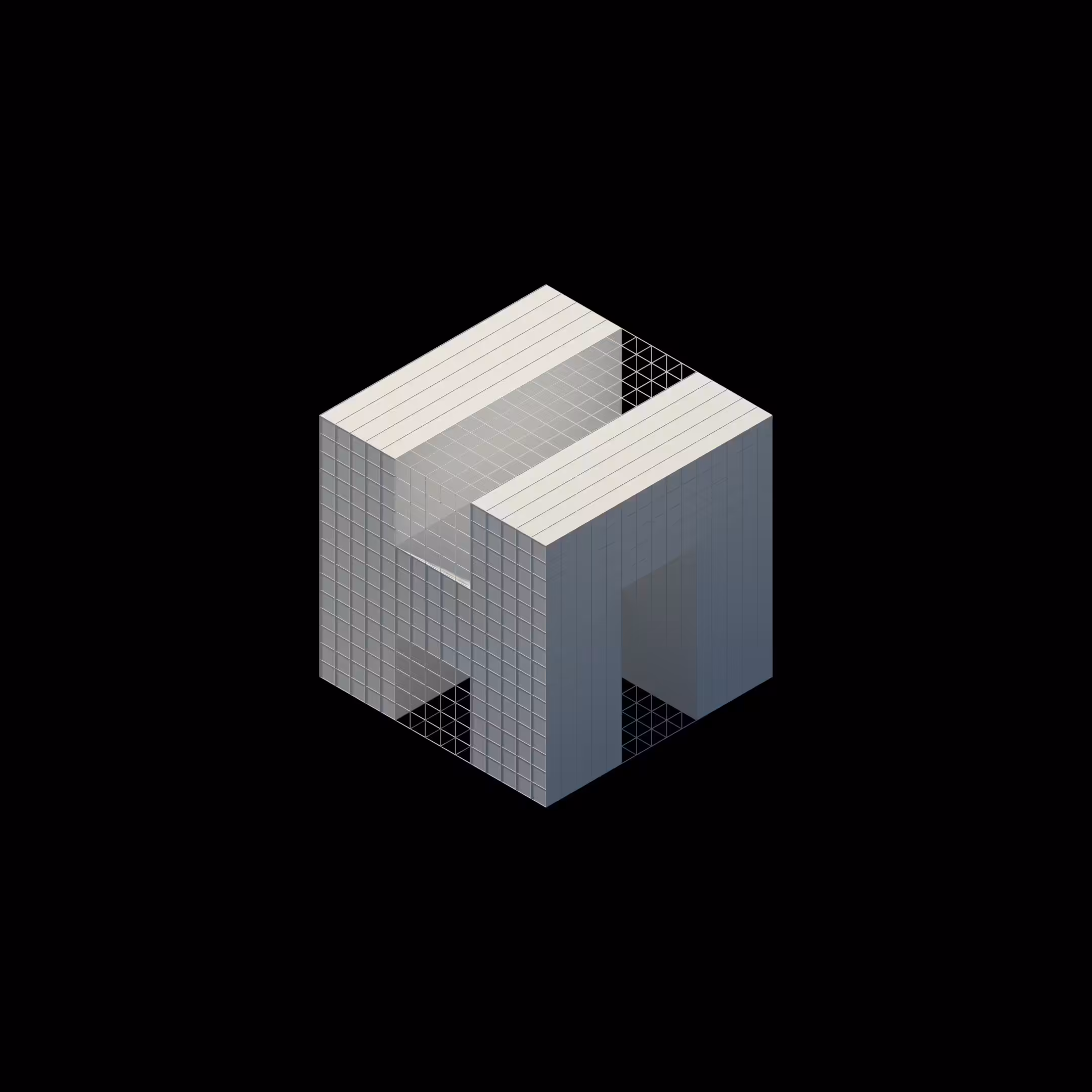 Isometric HeN Token: Mesh Tape Variant
