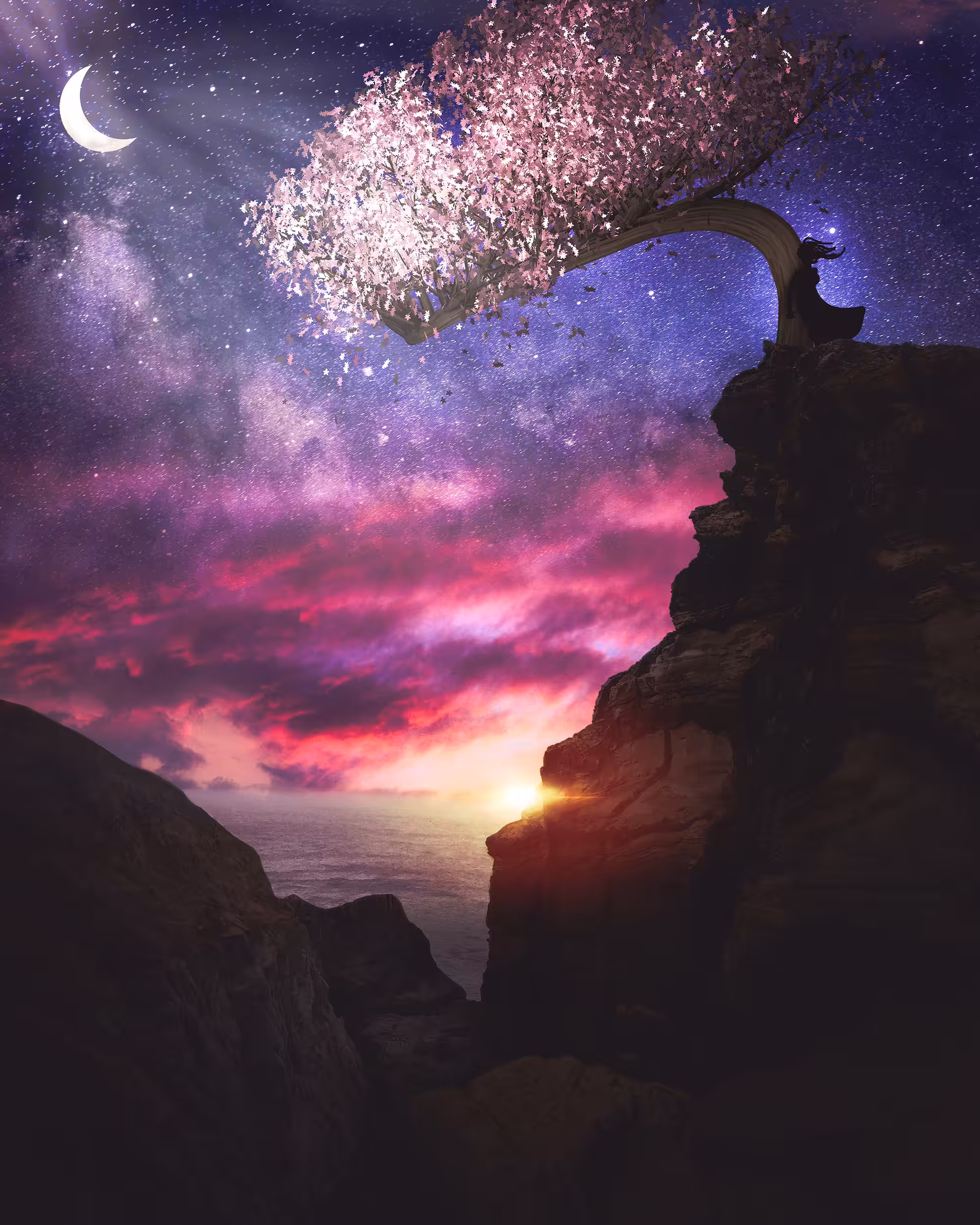 Midnight Blossom