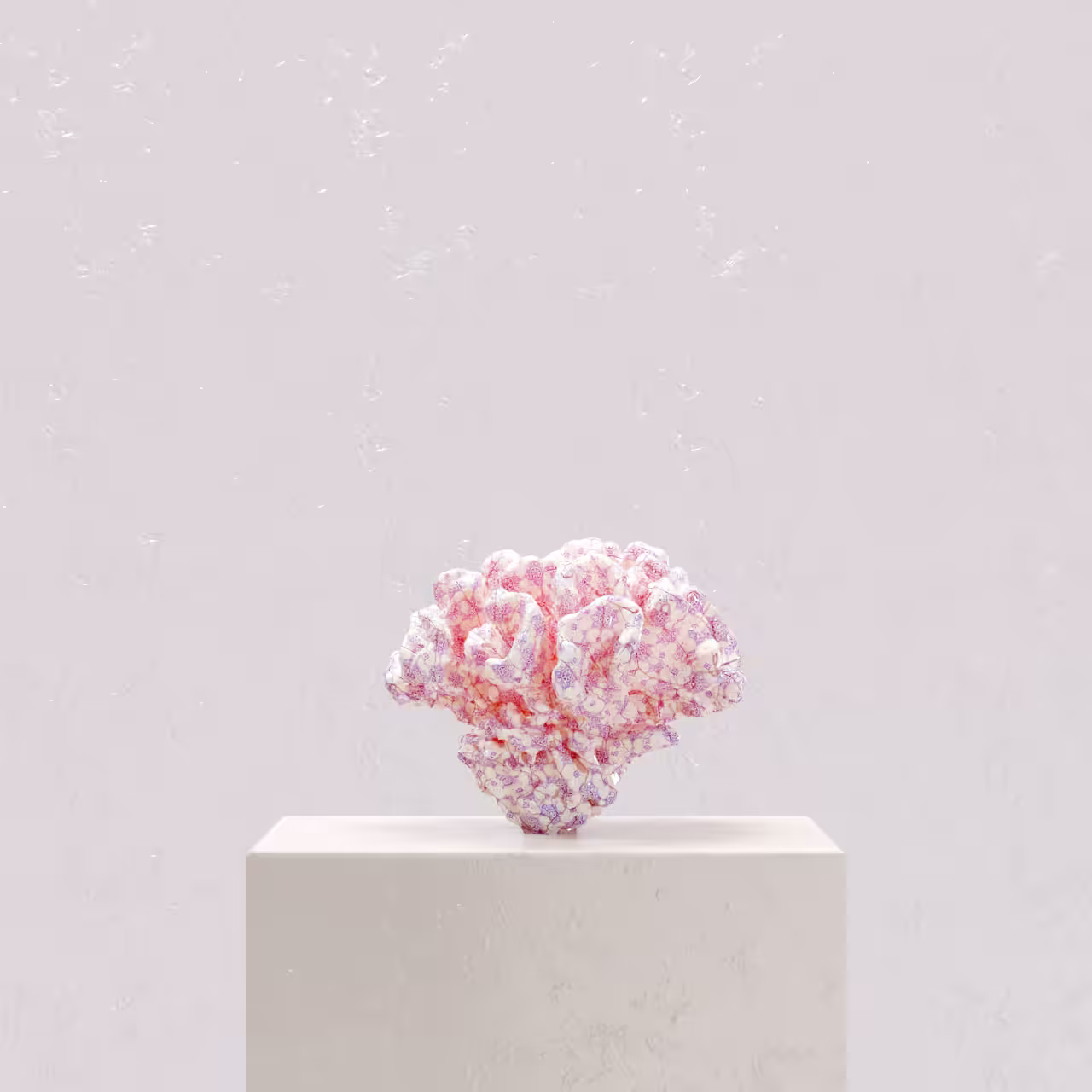 Coral Museum 6