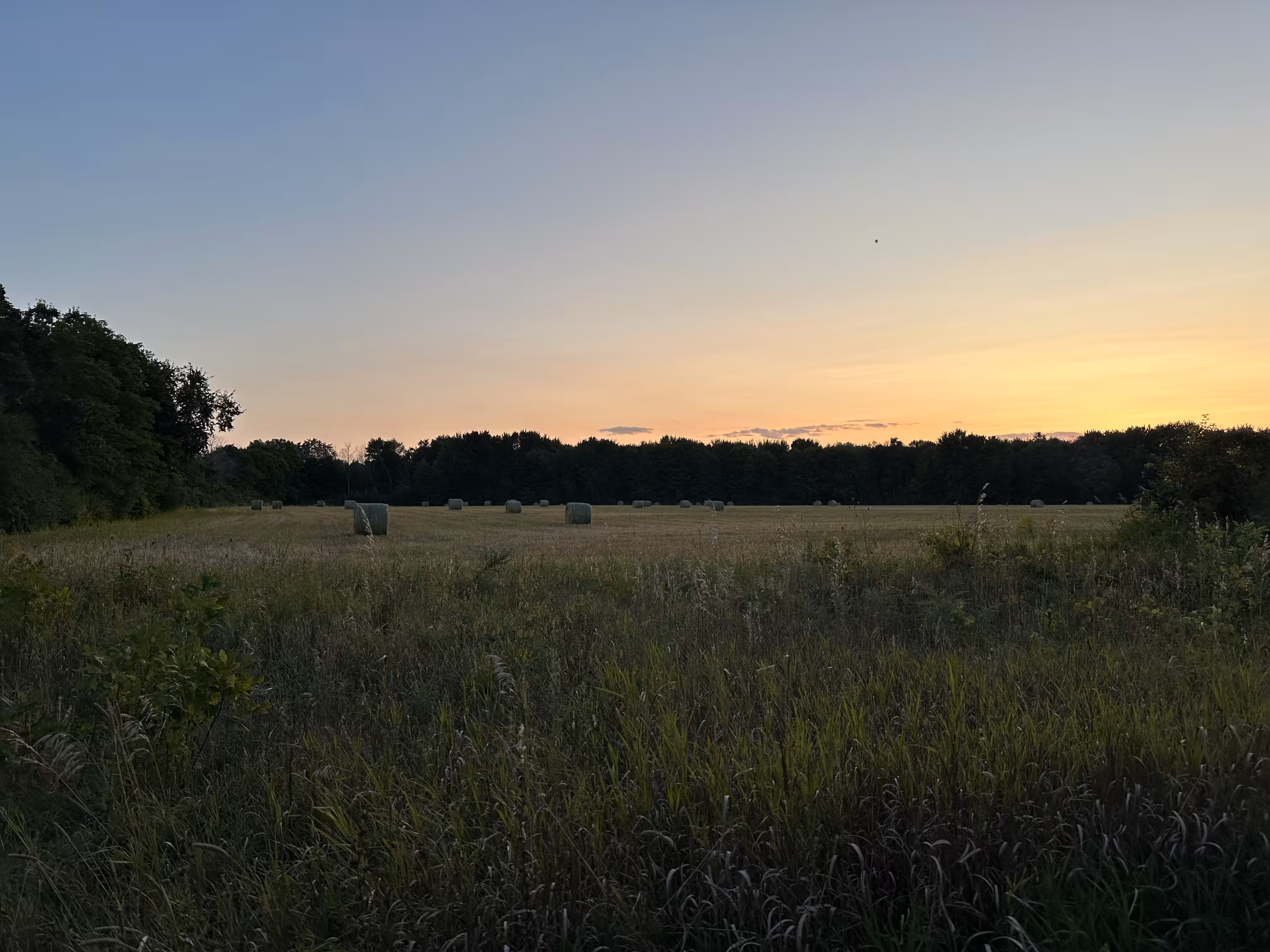 Dusk to Dawn