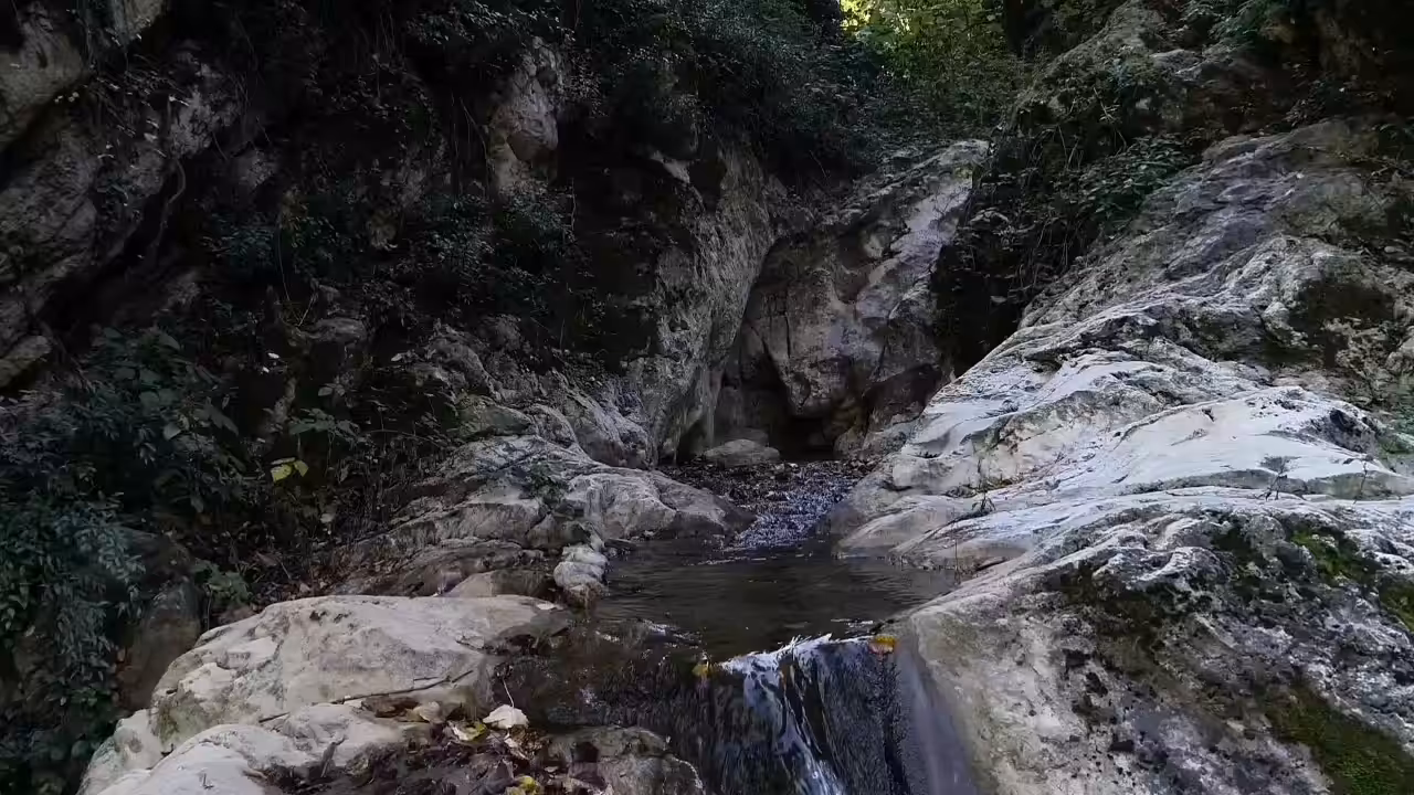 Sound of life