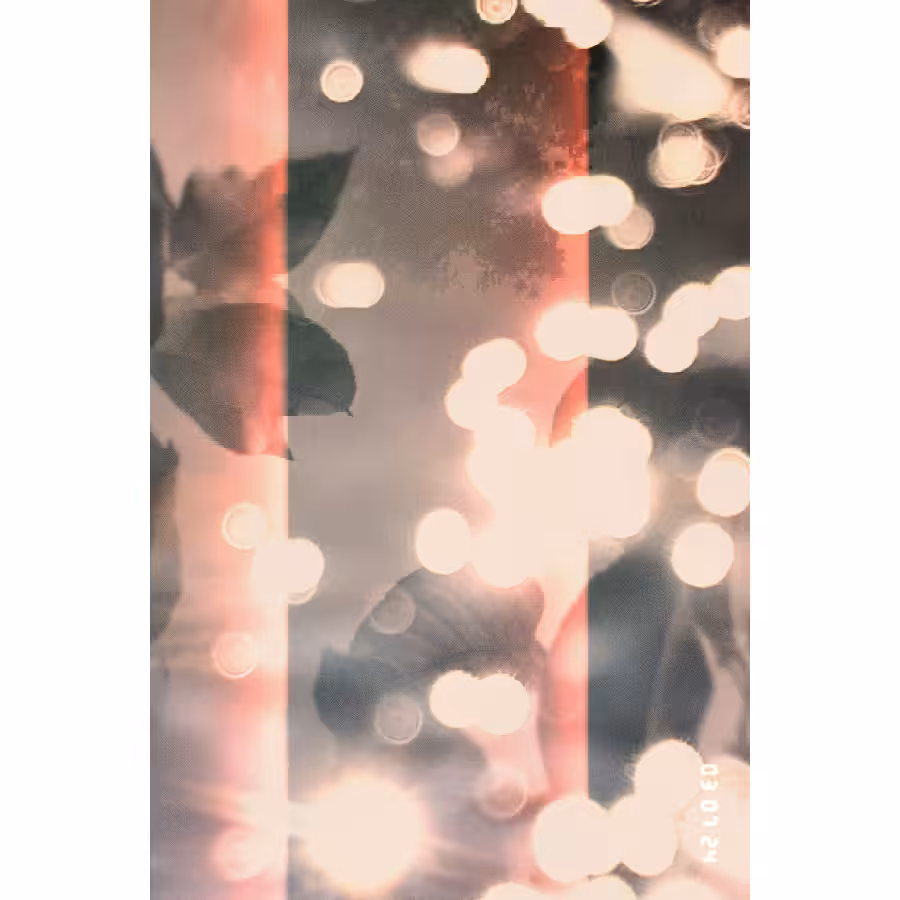 Diaries #76