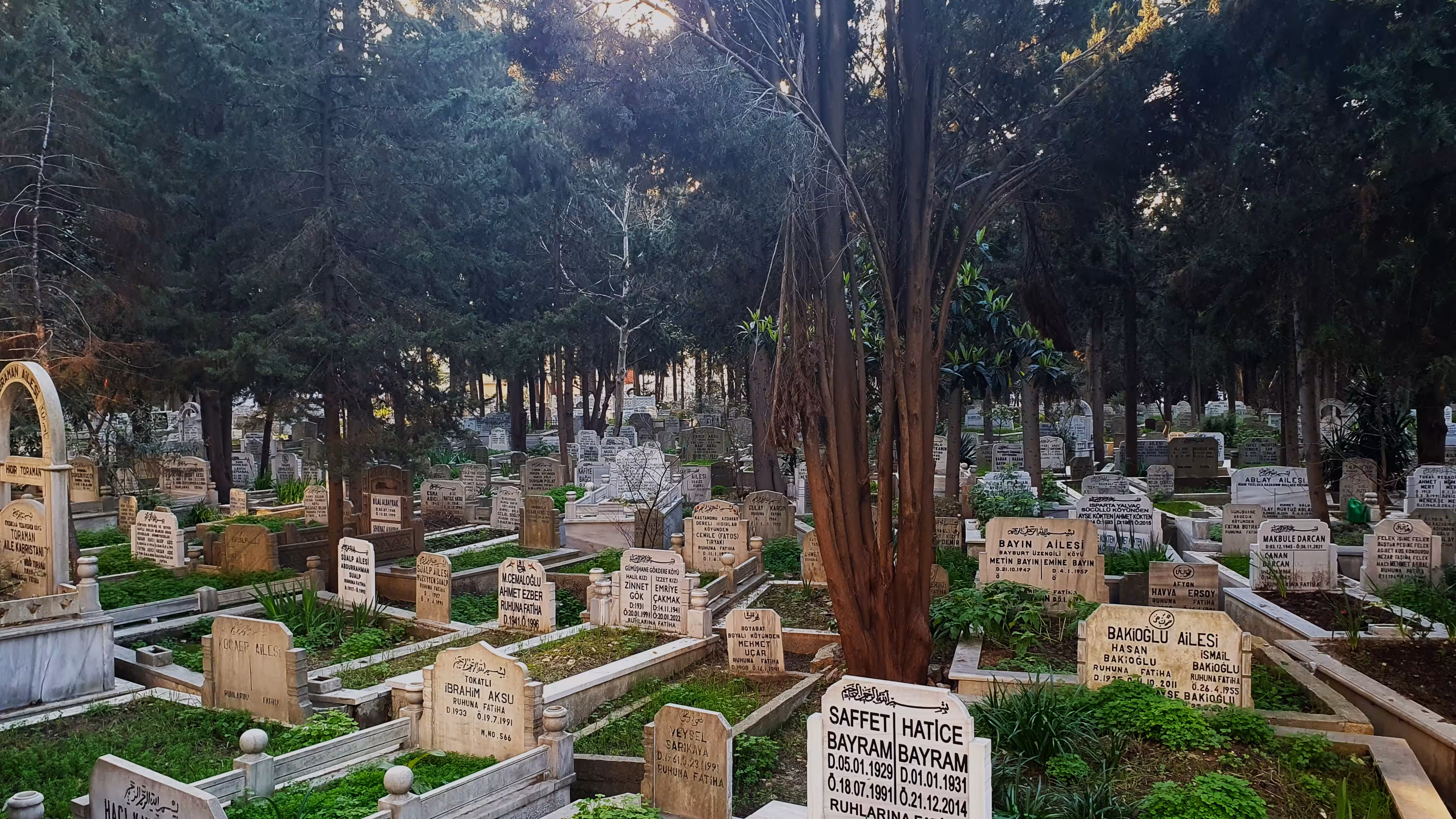Cemetery-5