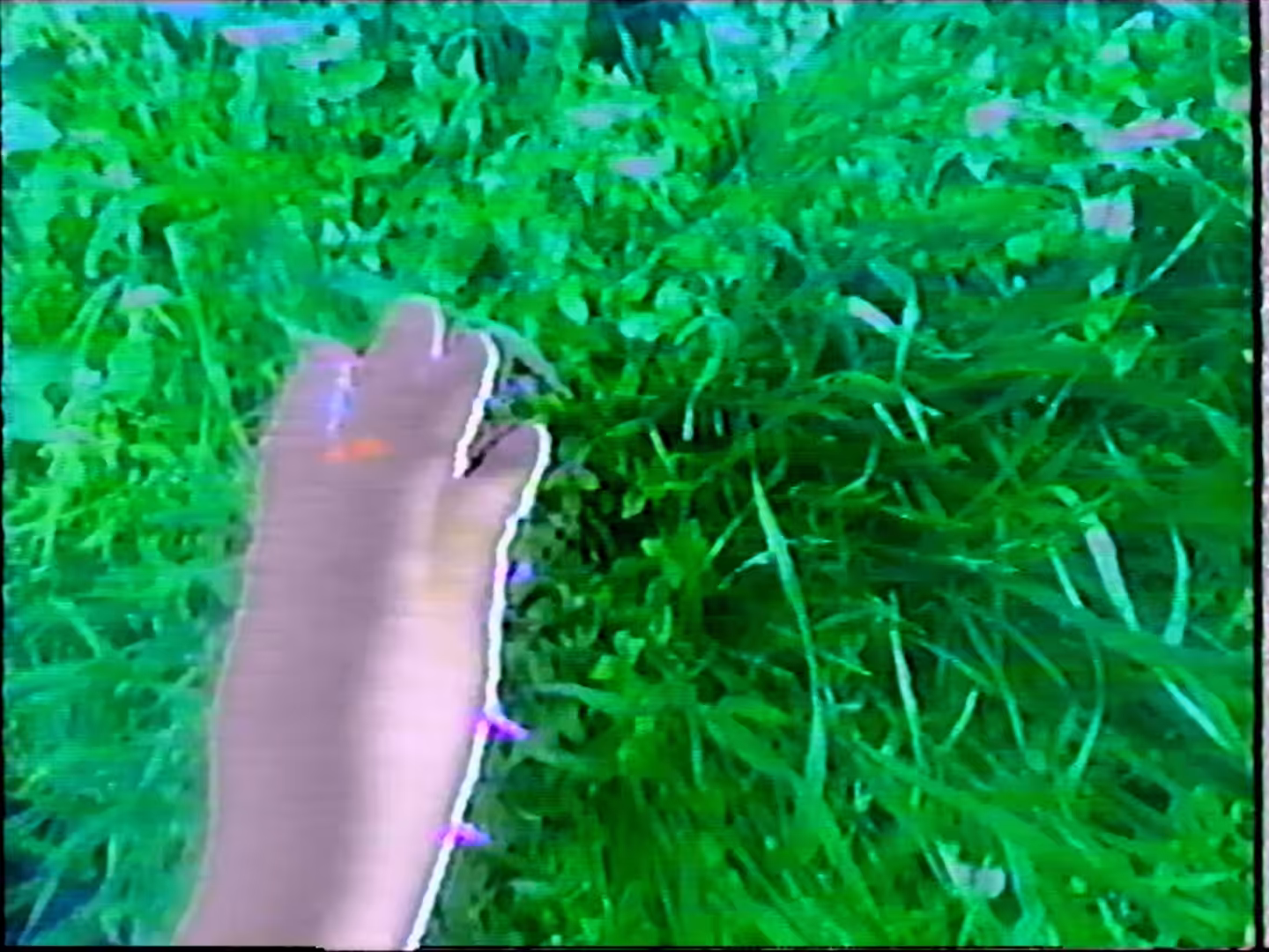 toucher de l'herbe #23/30