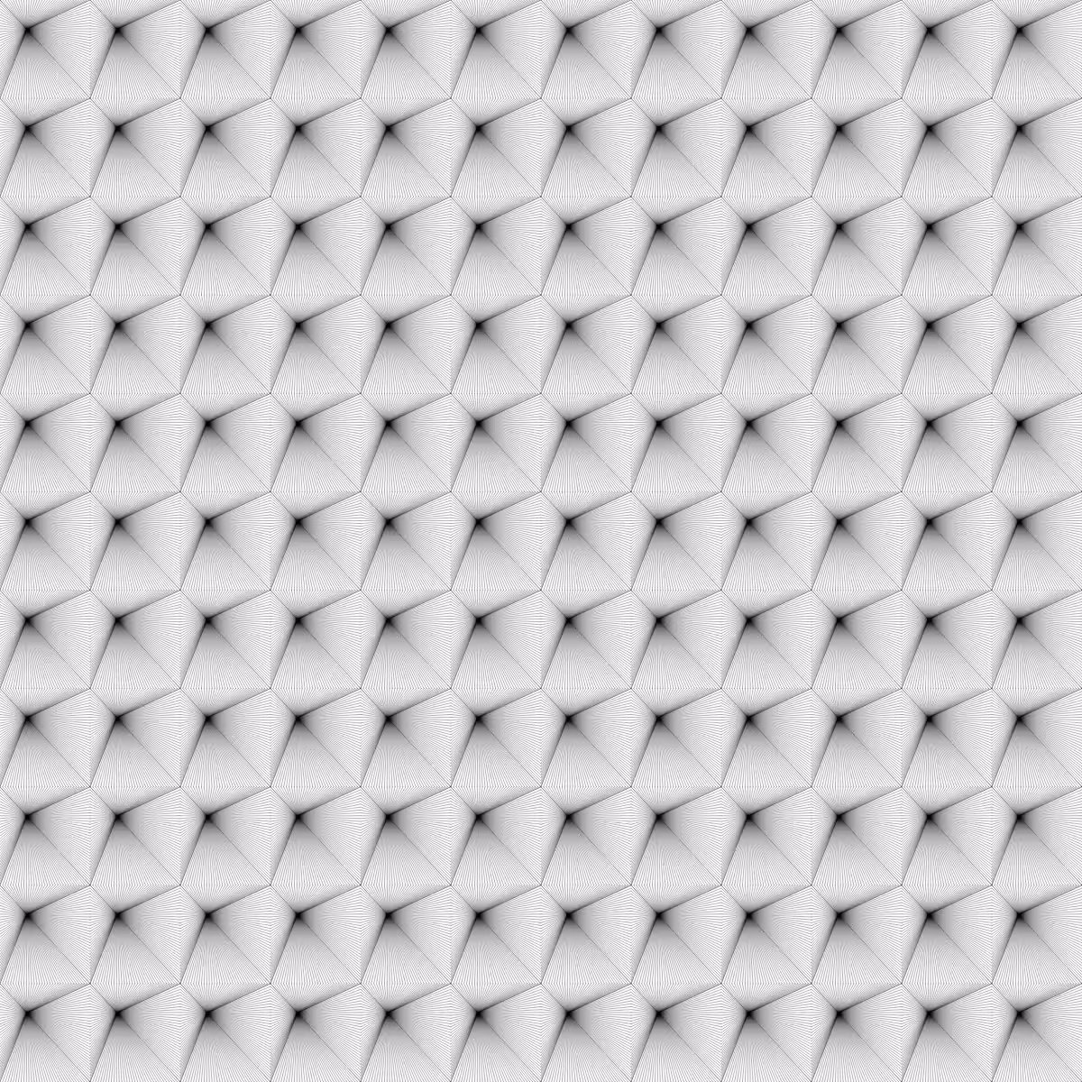 Noir et Blanc #155