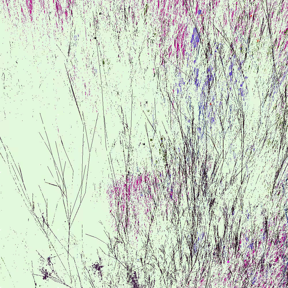 Infinite Garden: 205516 Flowers