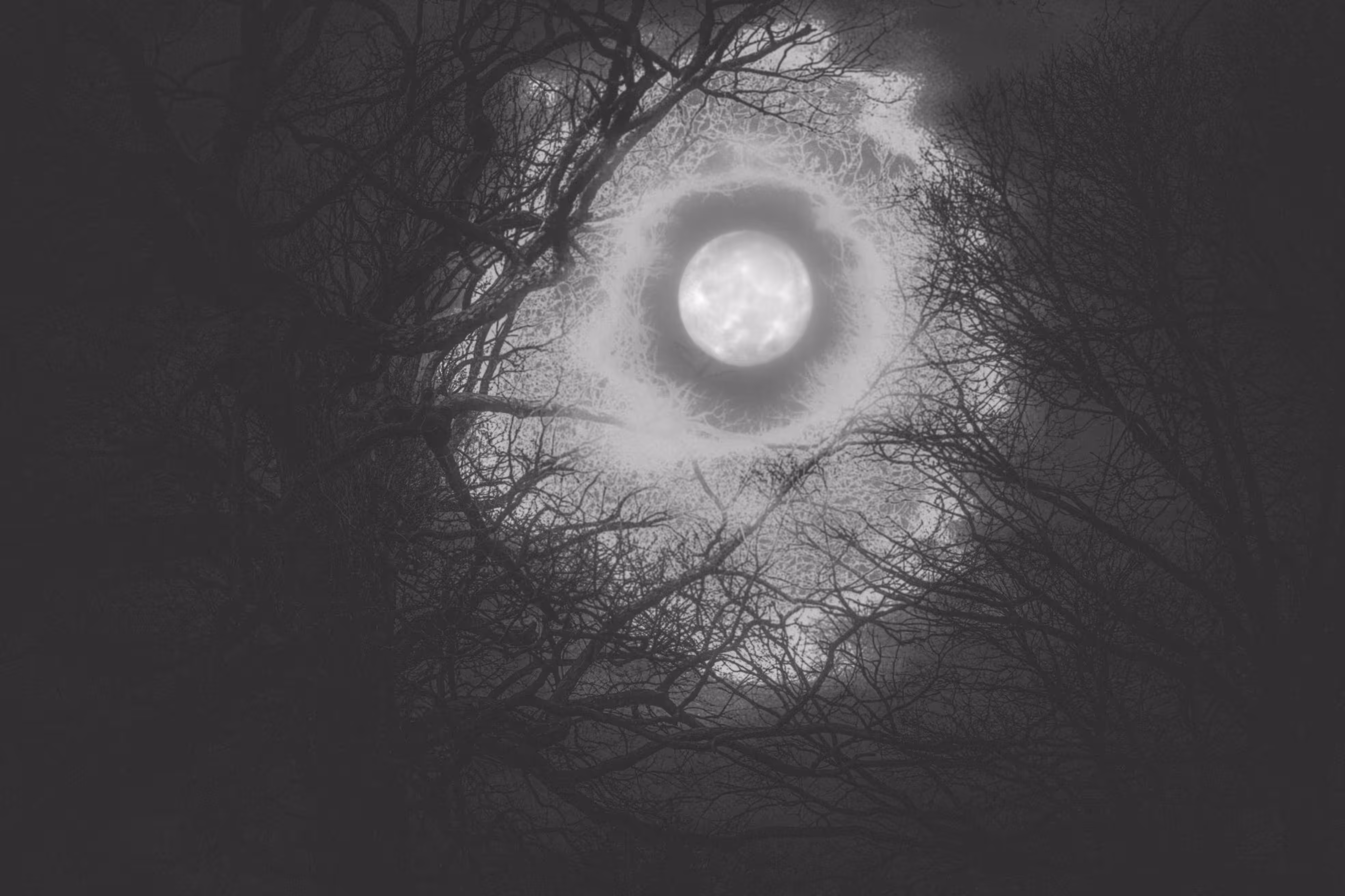 Eye Of The Forgotten Night