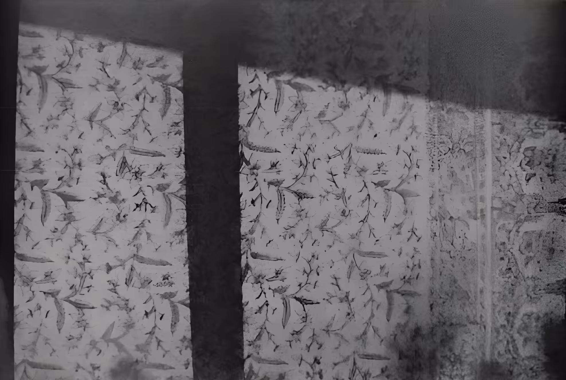 Daily Film - 8.01.2023 - 3