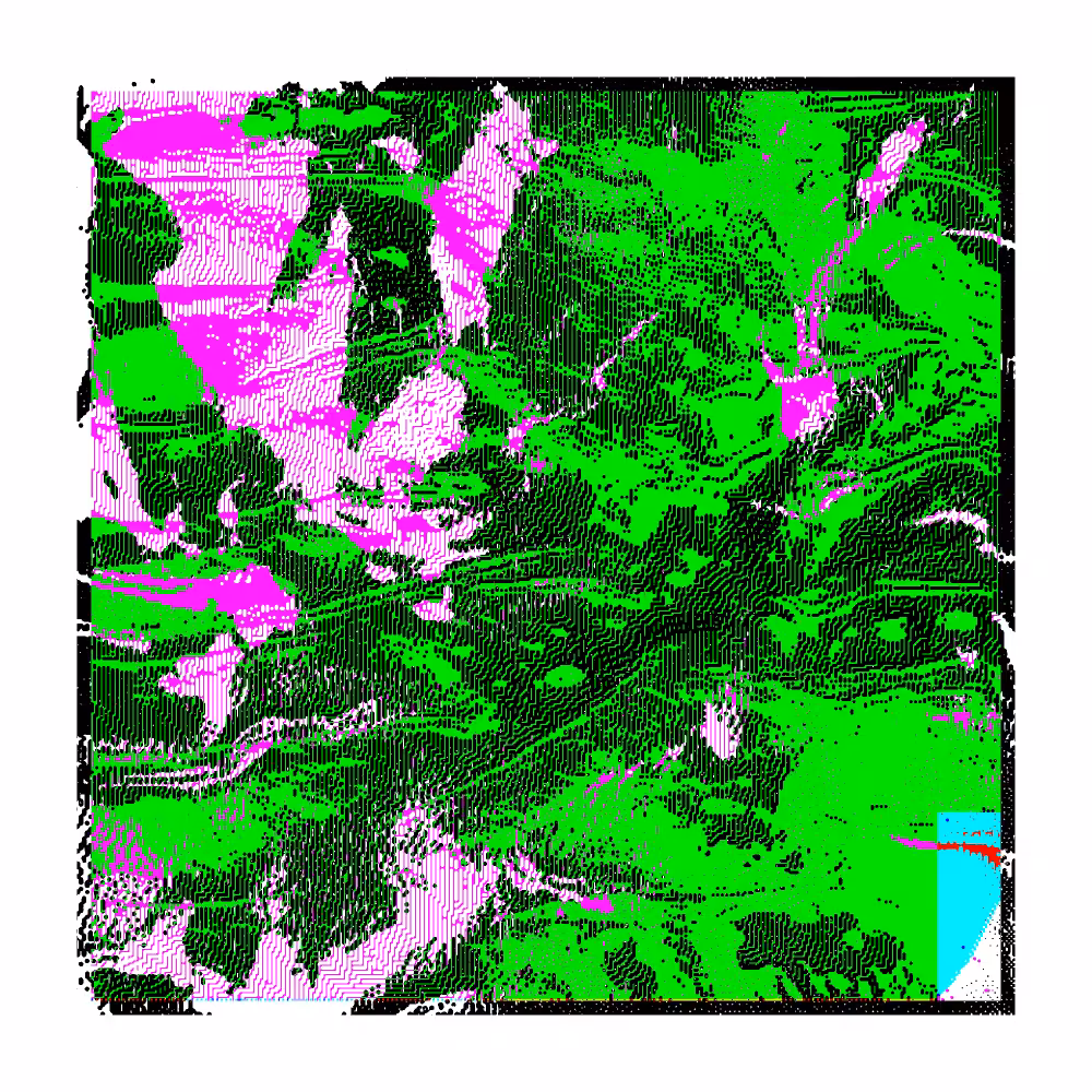 CHX-1 #1