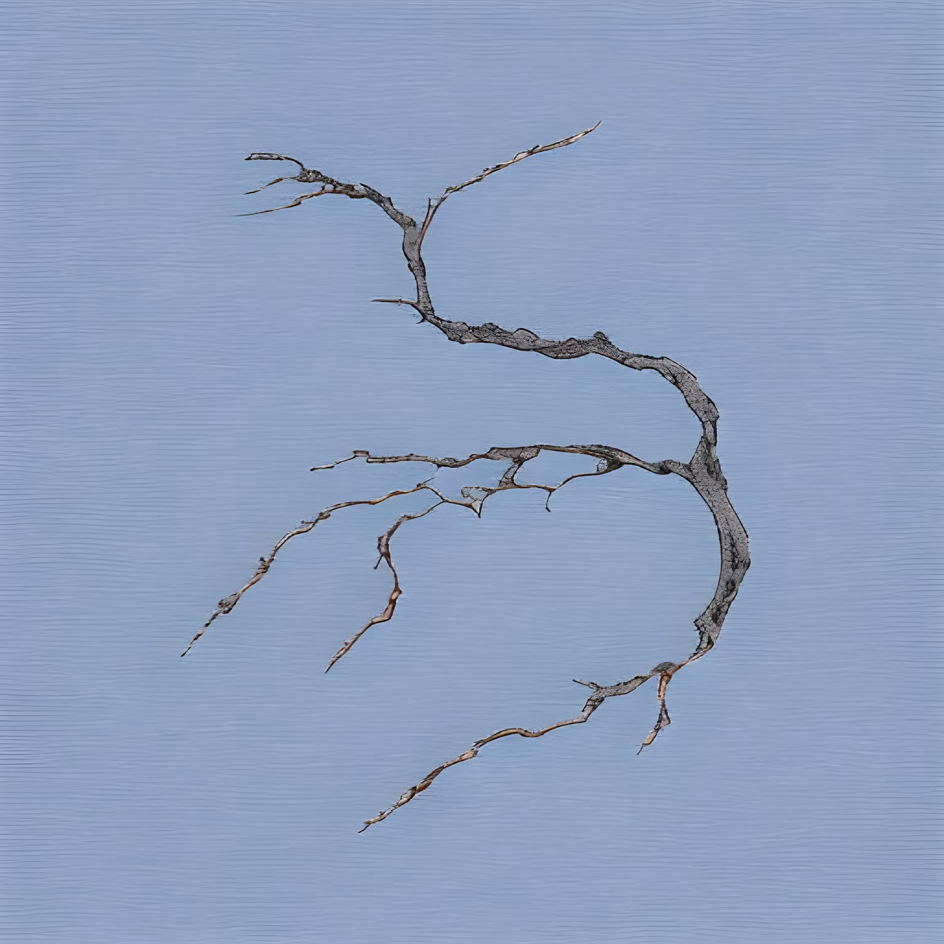 Inspired by the waves of the Faun