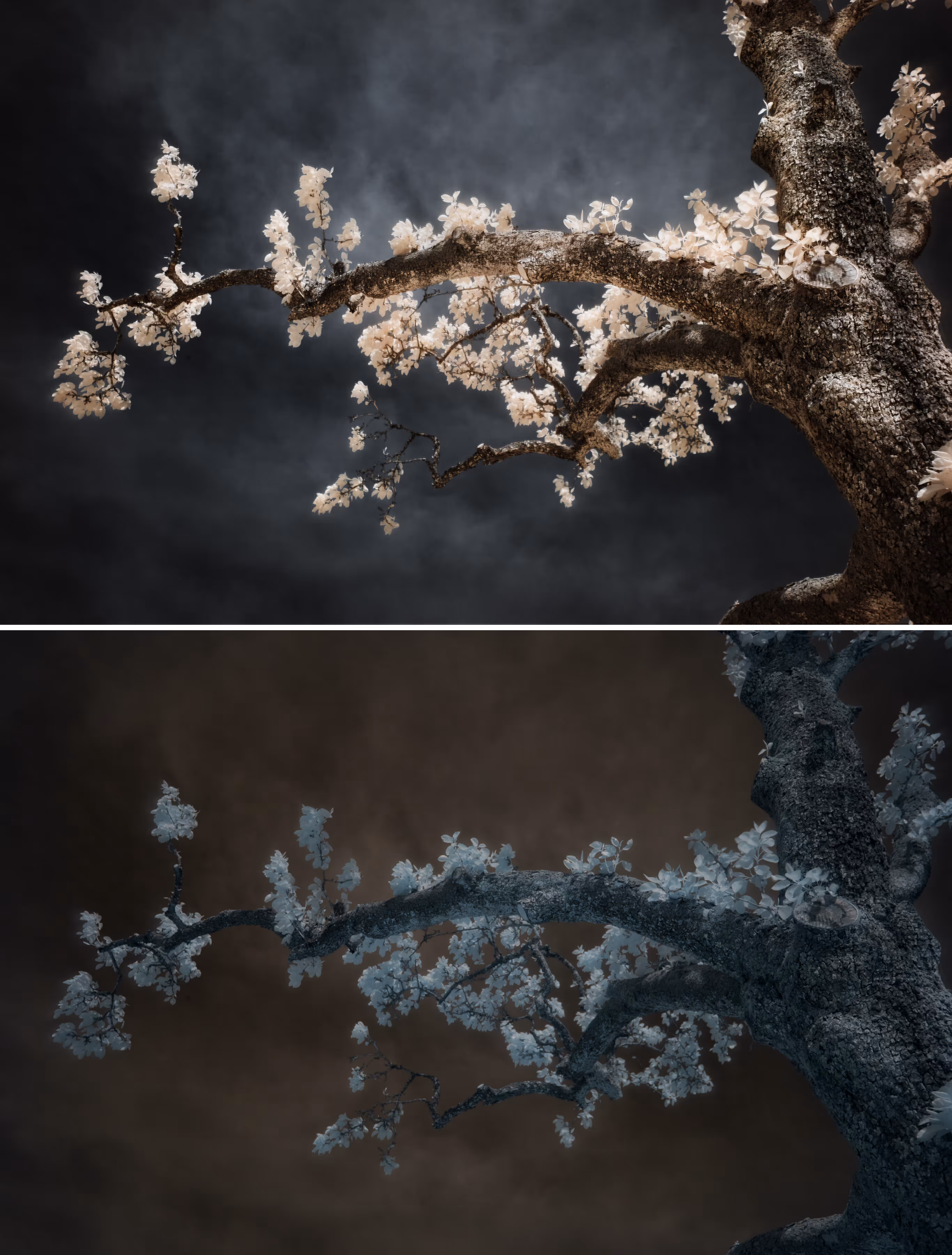 To The Sky - From raw to edit