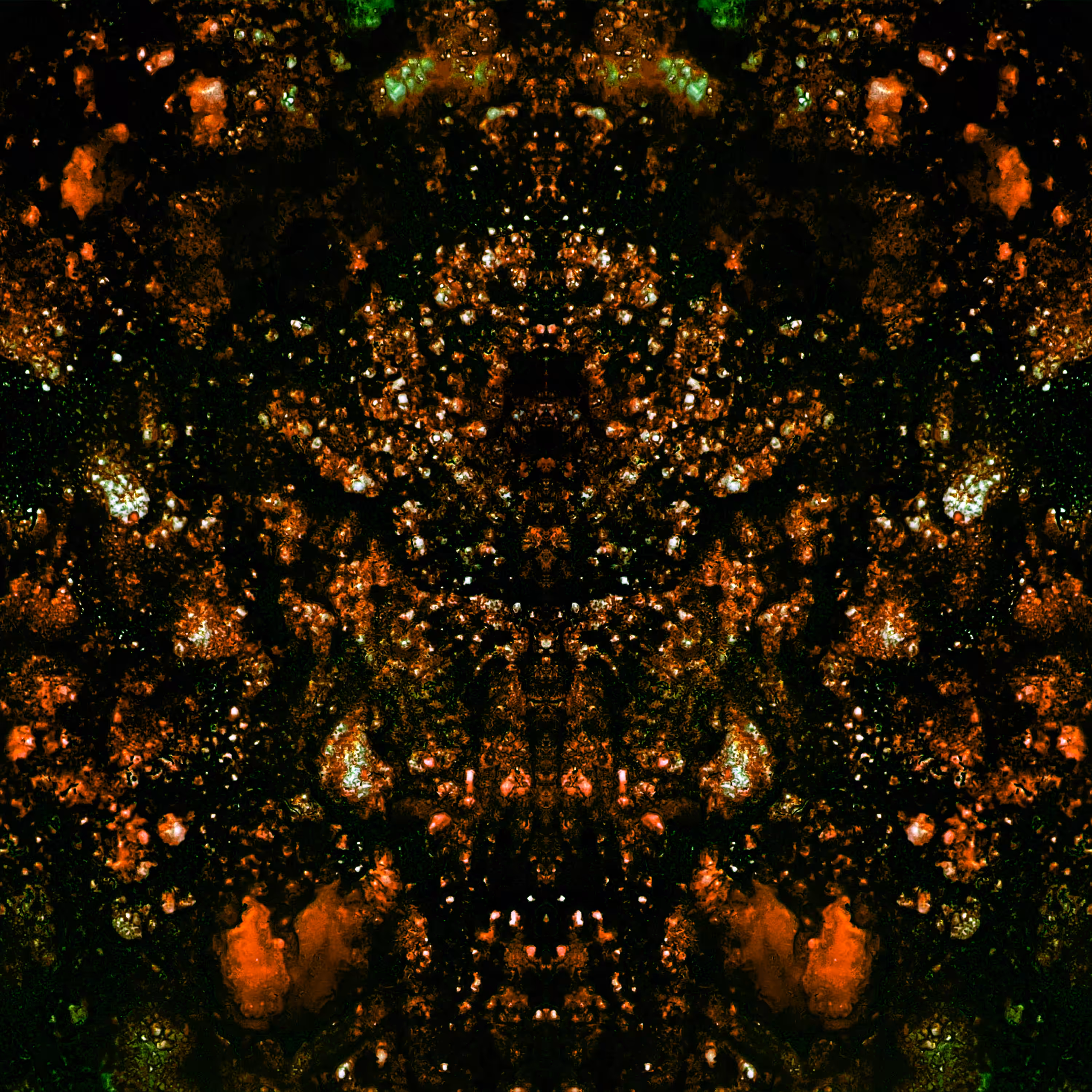 Illuminate
