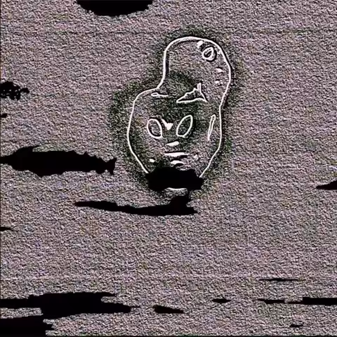 Ephemeral Traces