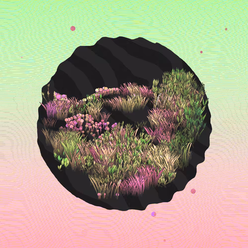 A Gift of Nature #2